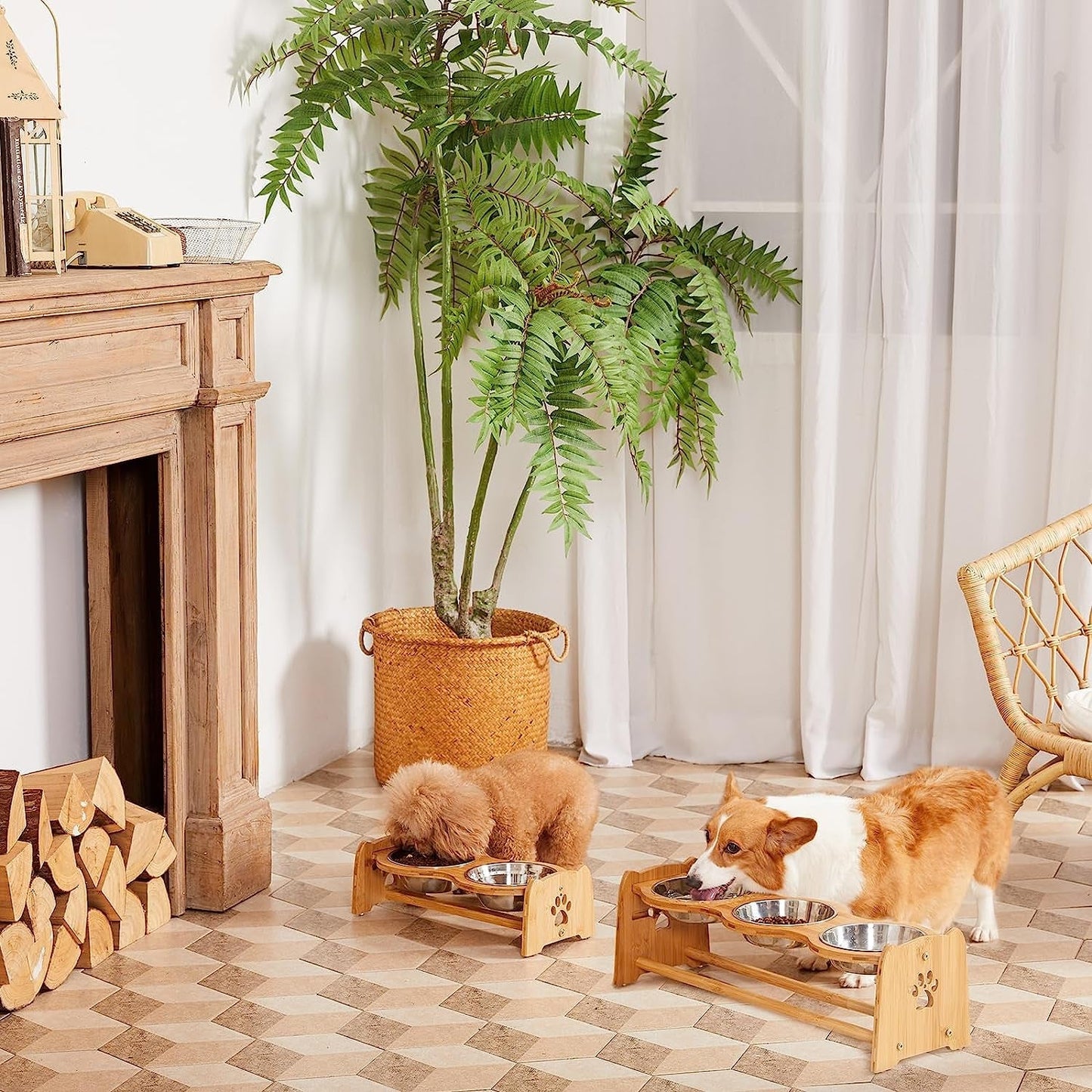 Elevated Dog Bowls for Cats and Dogs MJ's Pet Closet