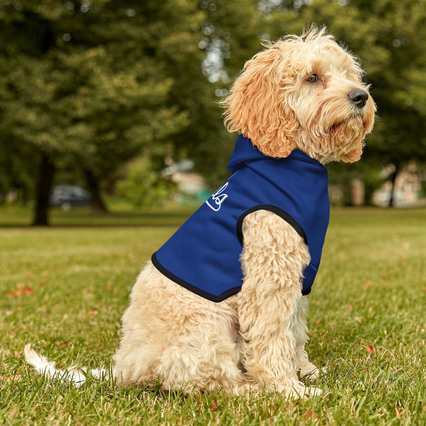 KC Royals Pet Hoodie for Game Day, Dog Apparel, Pet Fashion, Sportswear, Soft Hoodie for Dogs, Blue Pet Outfit Printify