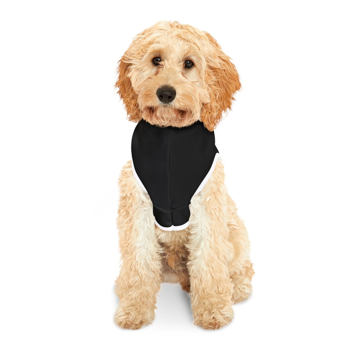 Raiders Pet Hoodie for Sports Fans, Cozy Pet Apparel, Dog & Cat Wear, NFL Team Merchandise, Perfect for Game Days Printify