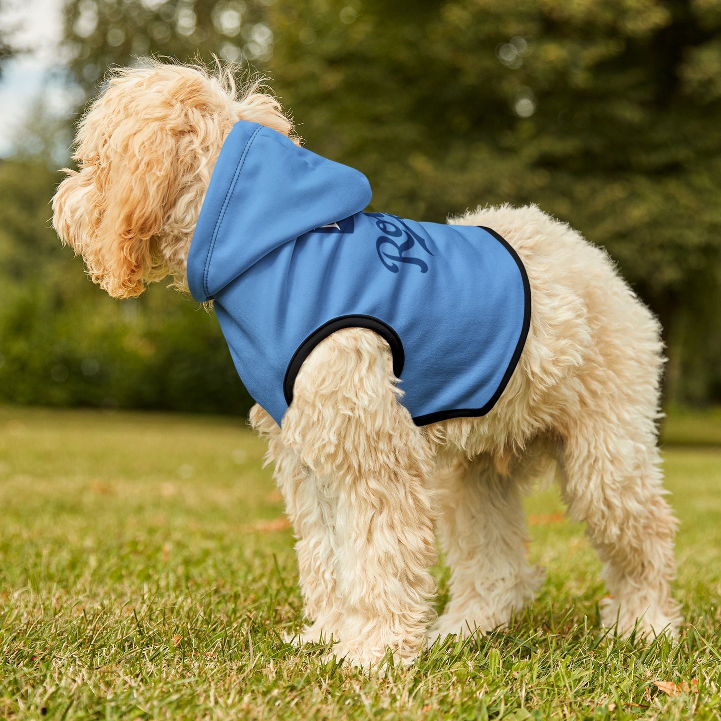 KC Royals Pet Hoodie - Cozy Dog Sweater, Perfect for Game Day, Pet Costume, Doggie Apparel, Sports Fan Gift Printify