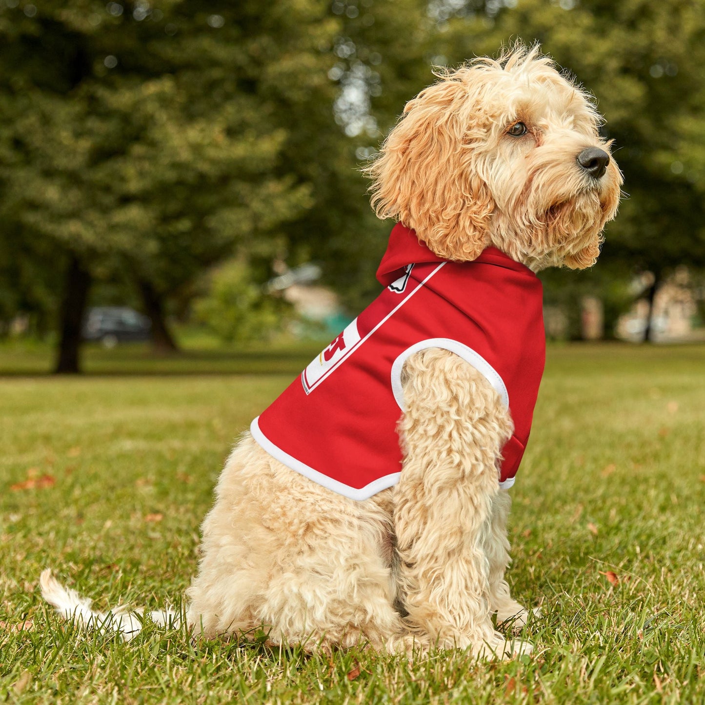 Cozy Chiefs Hoodie for Game Day, Dog Hoodie, Pet Apparel for Football Fans, Athletic Dog Gear, Sports Hoodie for Dogs Printify