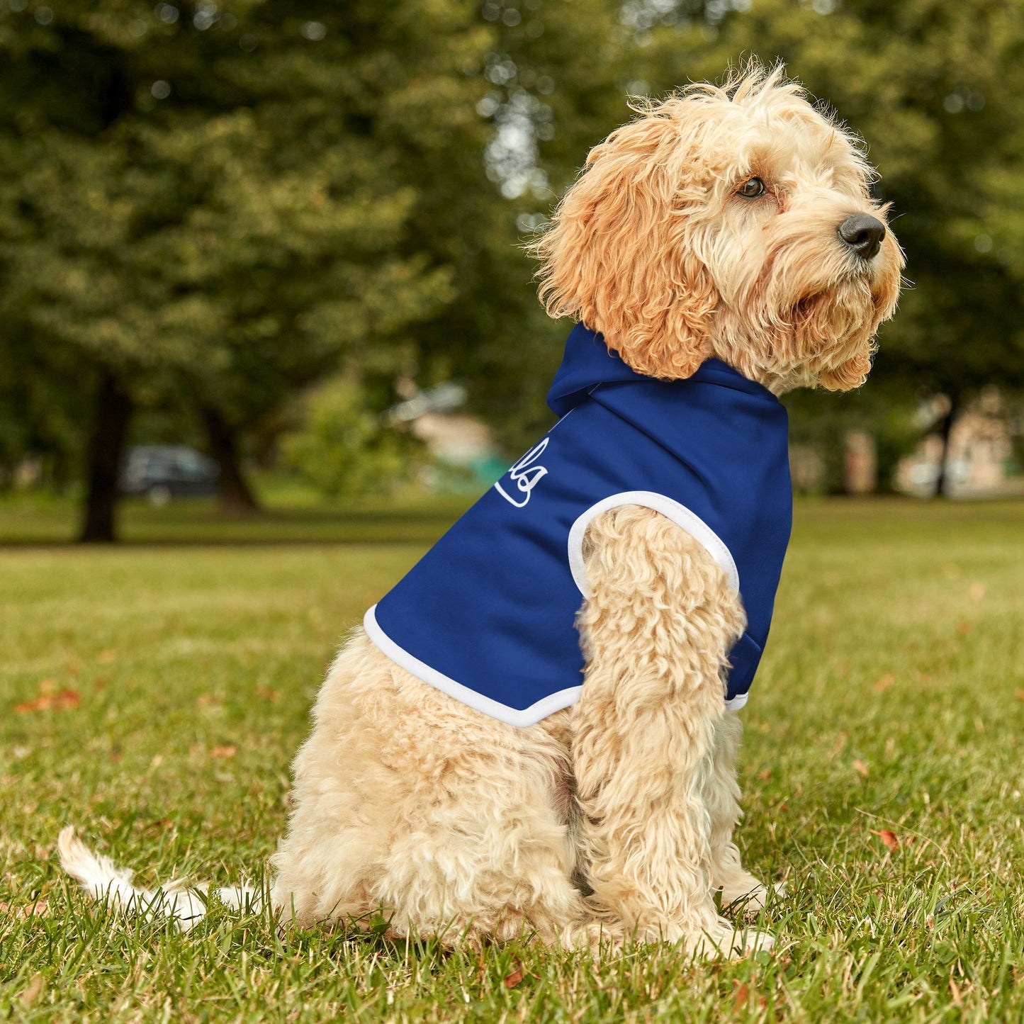 KC Royals Pet Hoodie for Game Day, Dog Apparel, Pet Fashion, Sportswear, Soft Hoodie for Dogs, Blue Pet Outfit Printify