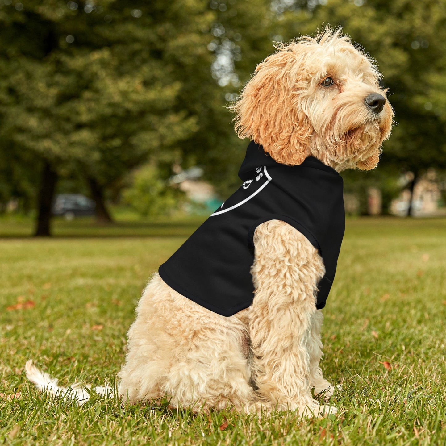 Raiders Pet Hoodie for Sports Fans, Cozy Pet Apparel, Dog & Cat Wear, NFL Team Merchandise, Perfect for Game Days Printify