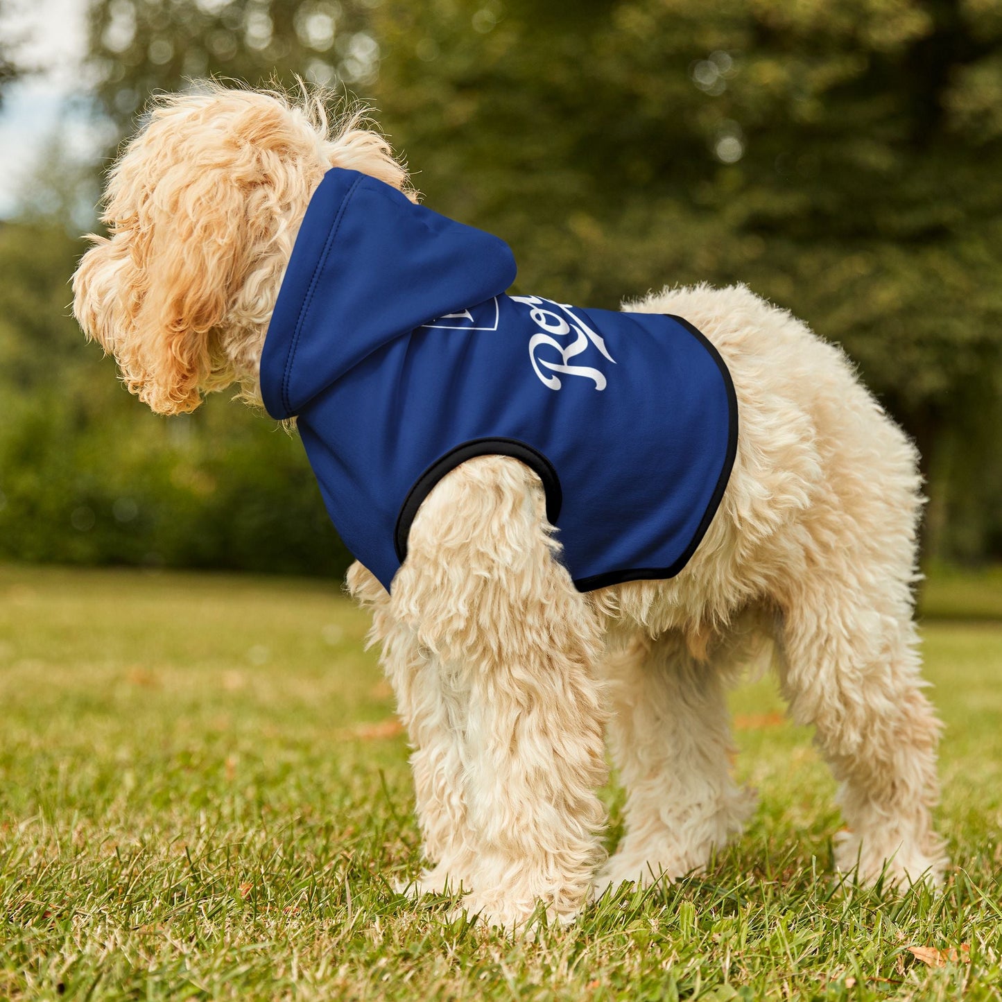 KC Royals Pet Hoodie for Game Day, Dog Apparel, Pet Fashion, Sportswear, Soft Hoodie for Dogs, Blue Pet Outfit Printify