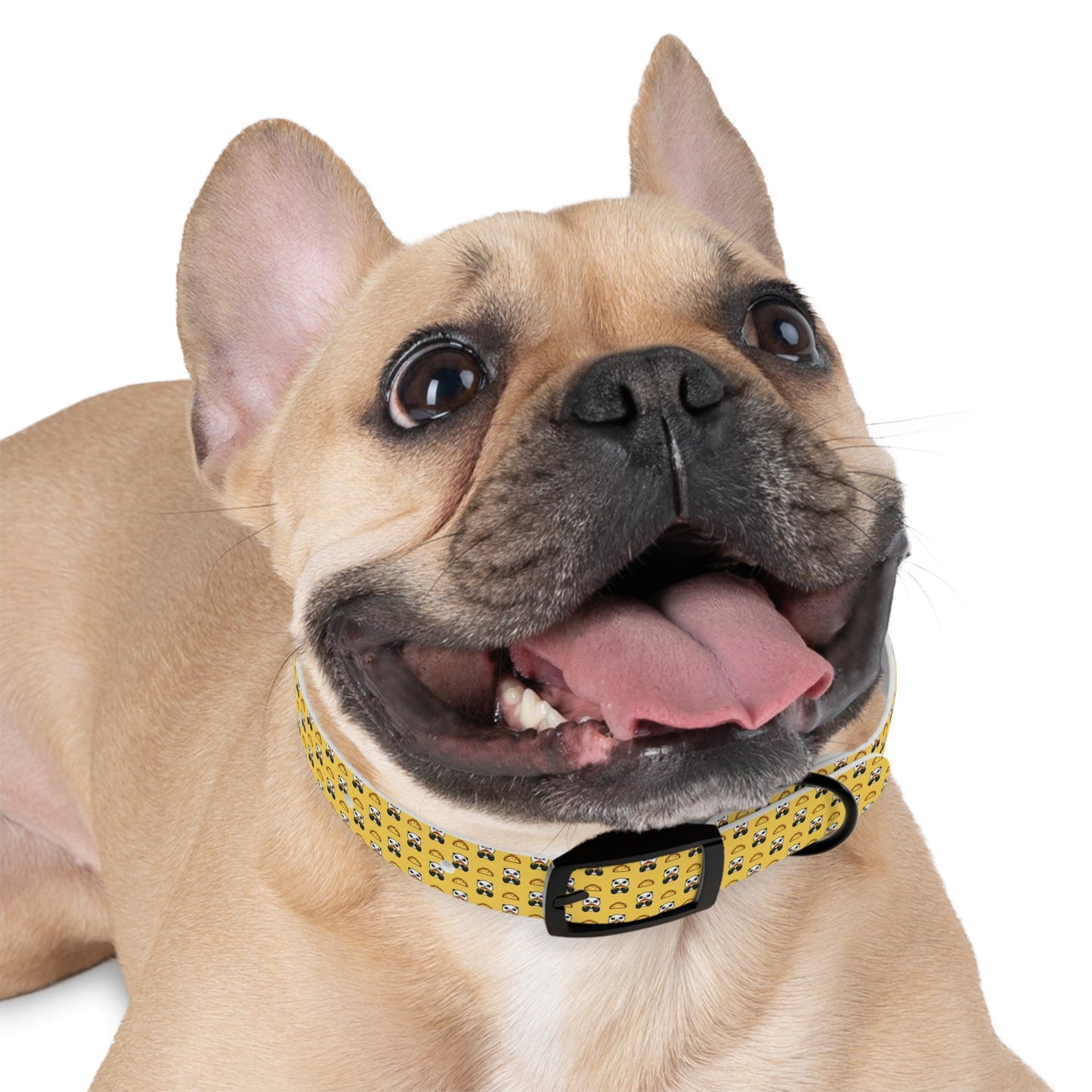 Playful Taco Dog Collar for Stylish Pups, Cute Nylon Pet Collar Printify
