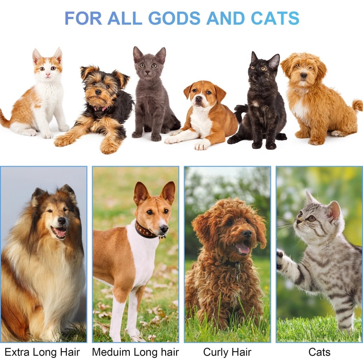 14Kpa Dog Grooming Kit & Vacuum, 2.5L Pet Hair Vacuum Suction MJ's Pet Closet