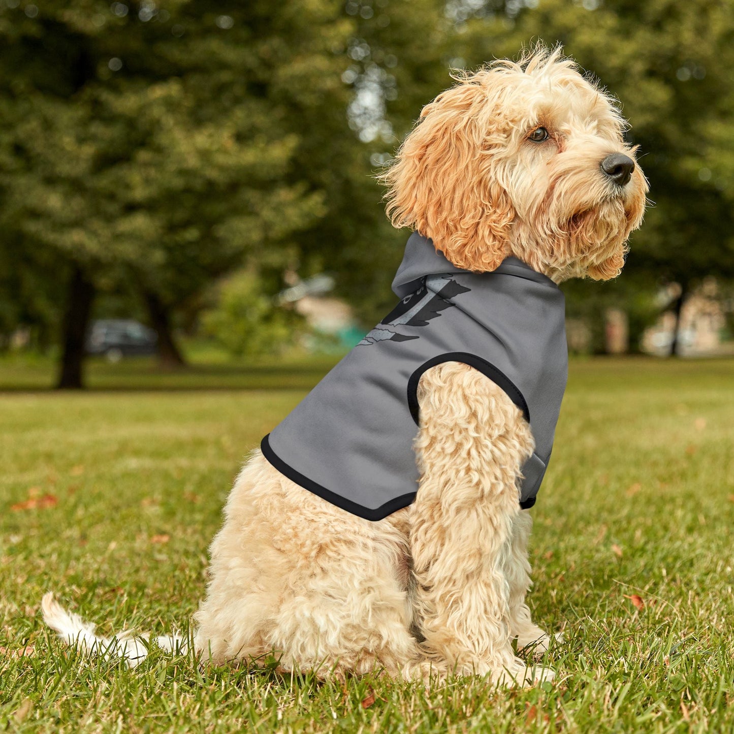 Raiders Pet Hoodie with Raiders Design, Perfect for Dog Lovers, Cozy Canine Apparel, Team Spirit Wear, Pet Fashion Statement Printify