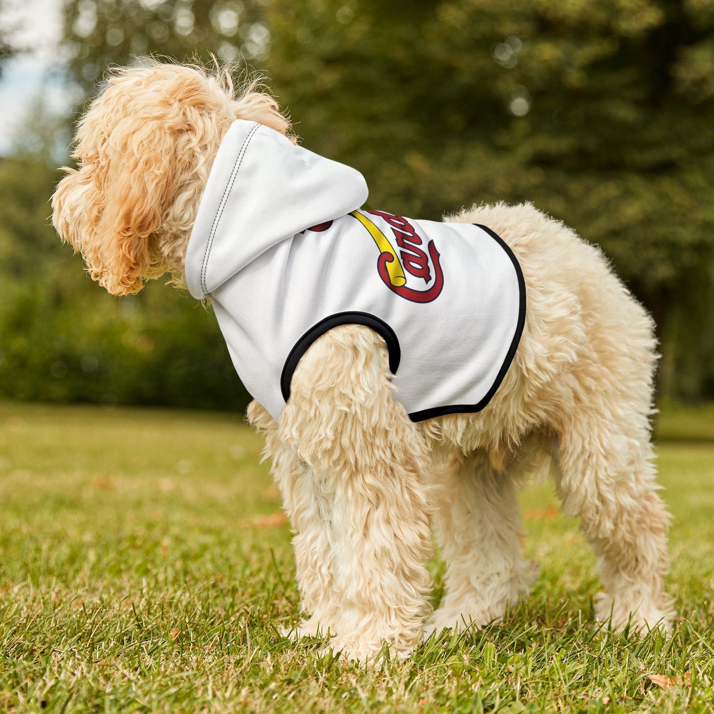 Cardinal Pet Hoodie, Cozy Dog Apparel, Furry Friend Fashion, Pet Lovers Gift, Sports Team Outfit, Cute Animal Clothing Printify