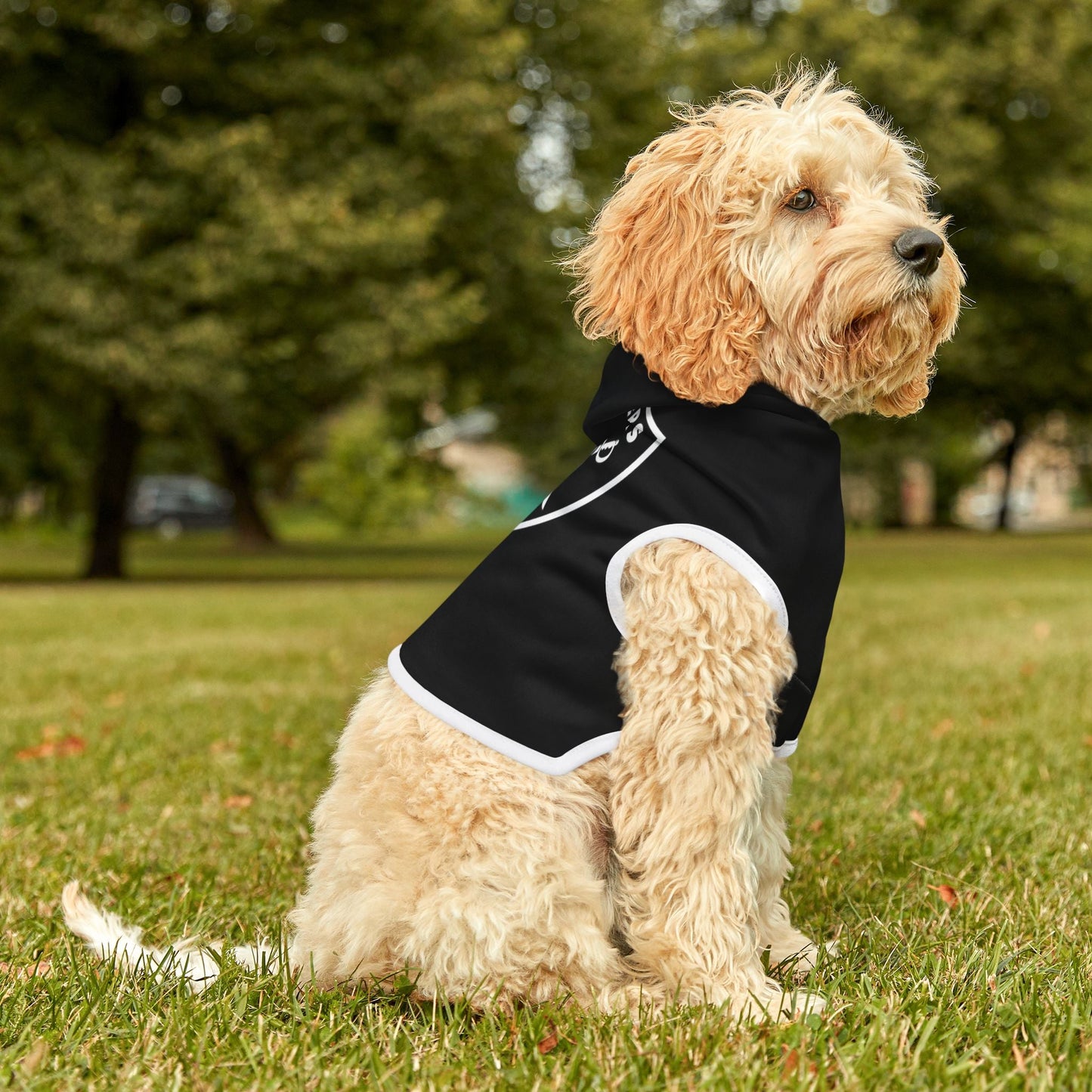 Raiders Pet Hoodie for Sports Fans, Cozy Pet Apparel, Dog & Cat Wear, NFL Team Merchandise, Perfect for Game Days Printify