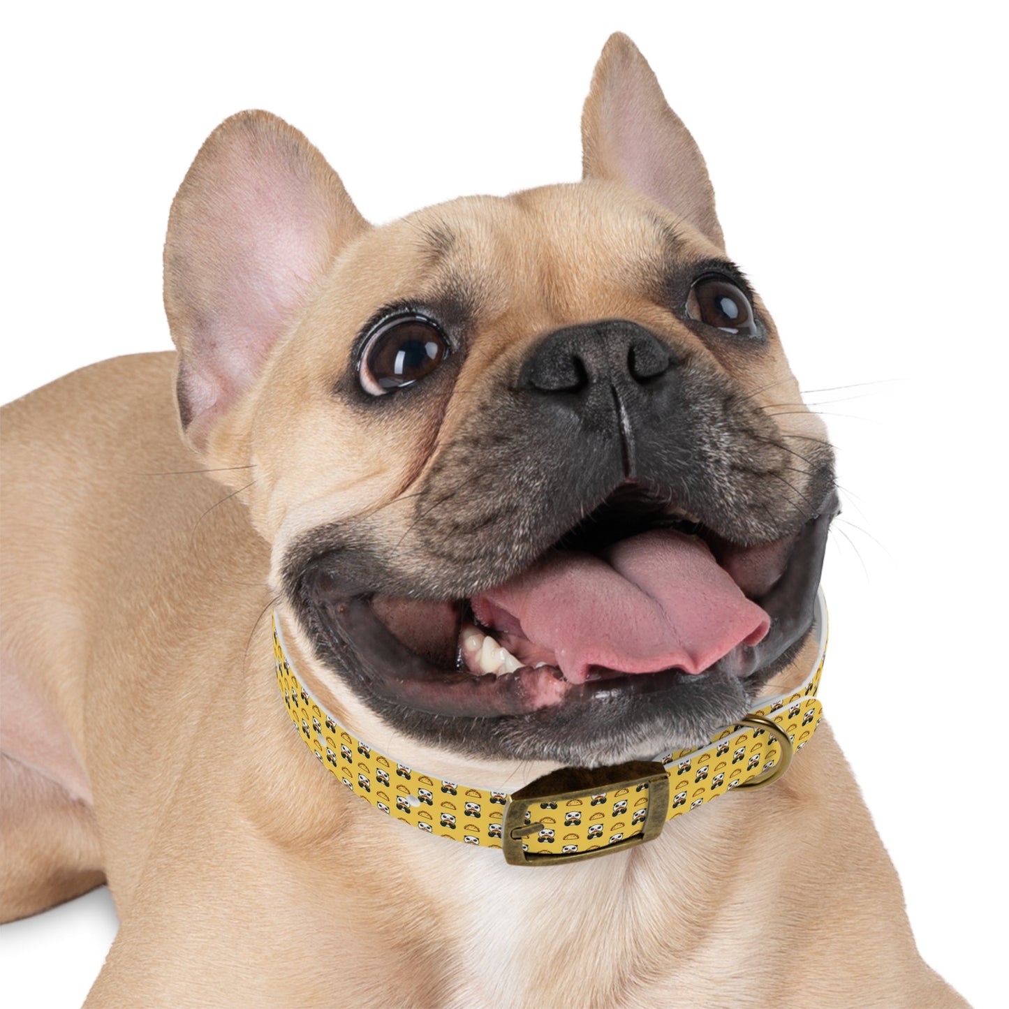 Playful Taco Dog Collar for Stylish Pups, Cute Nylon Pet Collar Printify
