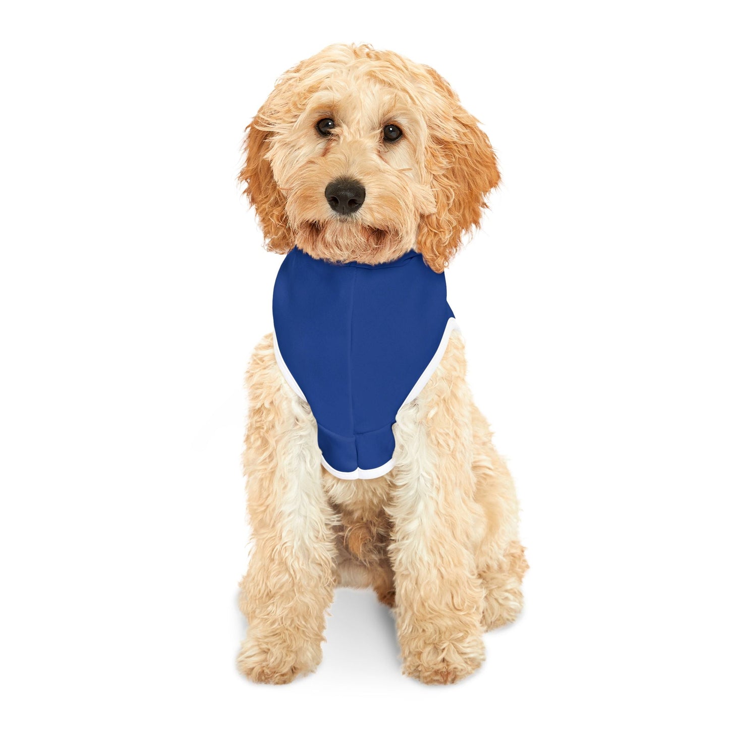 KC Royals Pet Hoodie for Game Day, Dog Apparel, Pet Fashion, Sportswear, Soft Hoodie for Dogs, Blue Pet Outfit Printify
