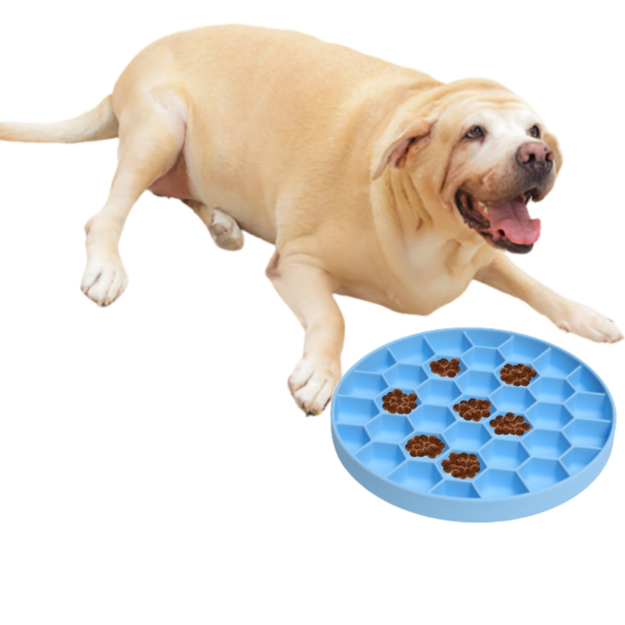 Mr. Peanut's Silicone Slow Feeder Dog Bowl Mr. Peanut's Pet Carriers