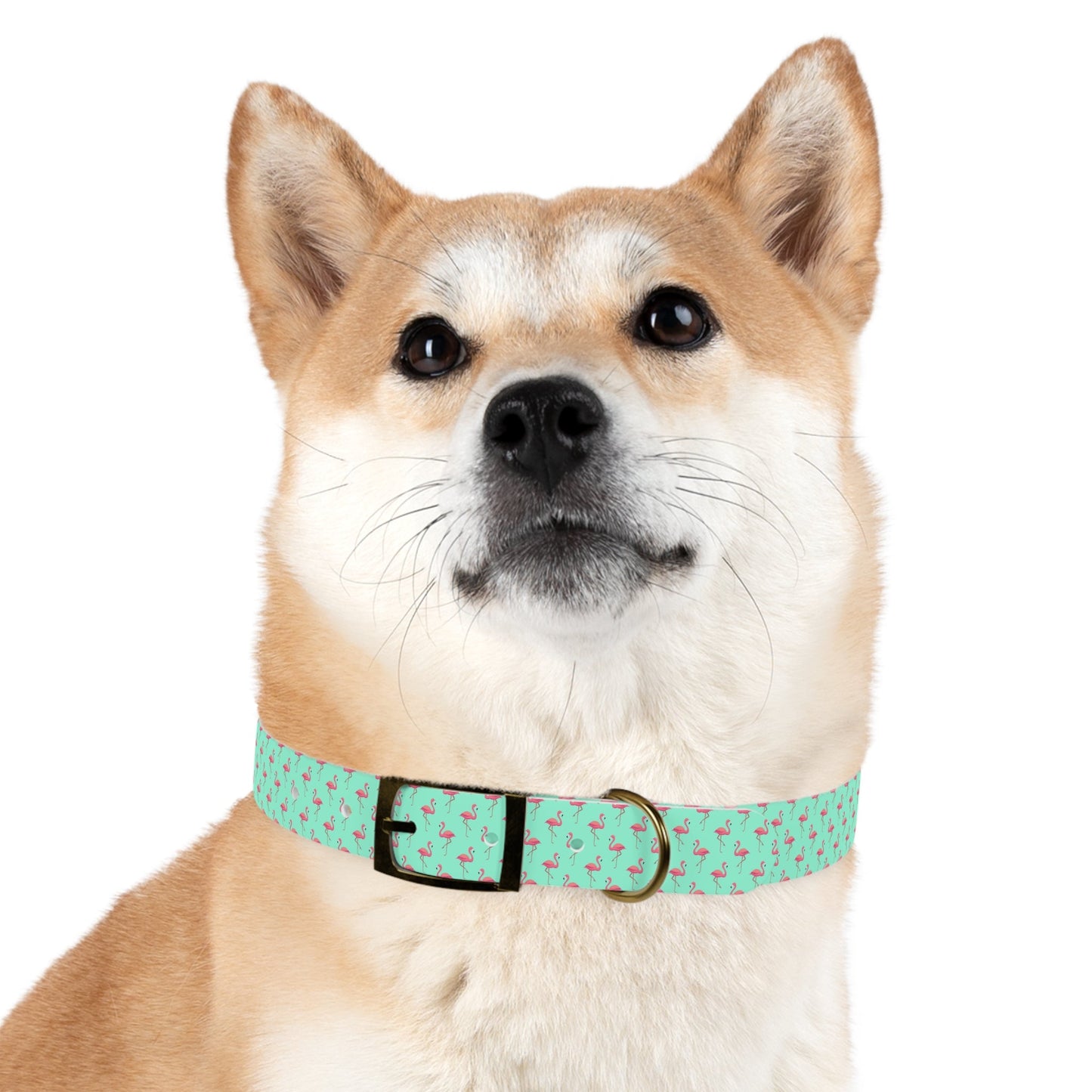 Flamingo Pattern Dog Collar, Stylish Pet Accessory, Summer Dog Gear, Perfect Gift for Dog Lovers, Adjustable Pet Collar, Tropical Dog Printify