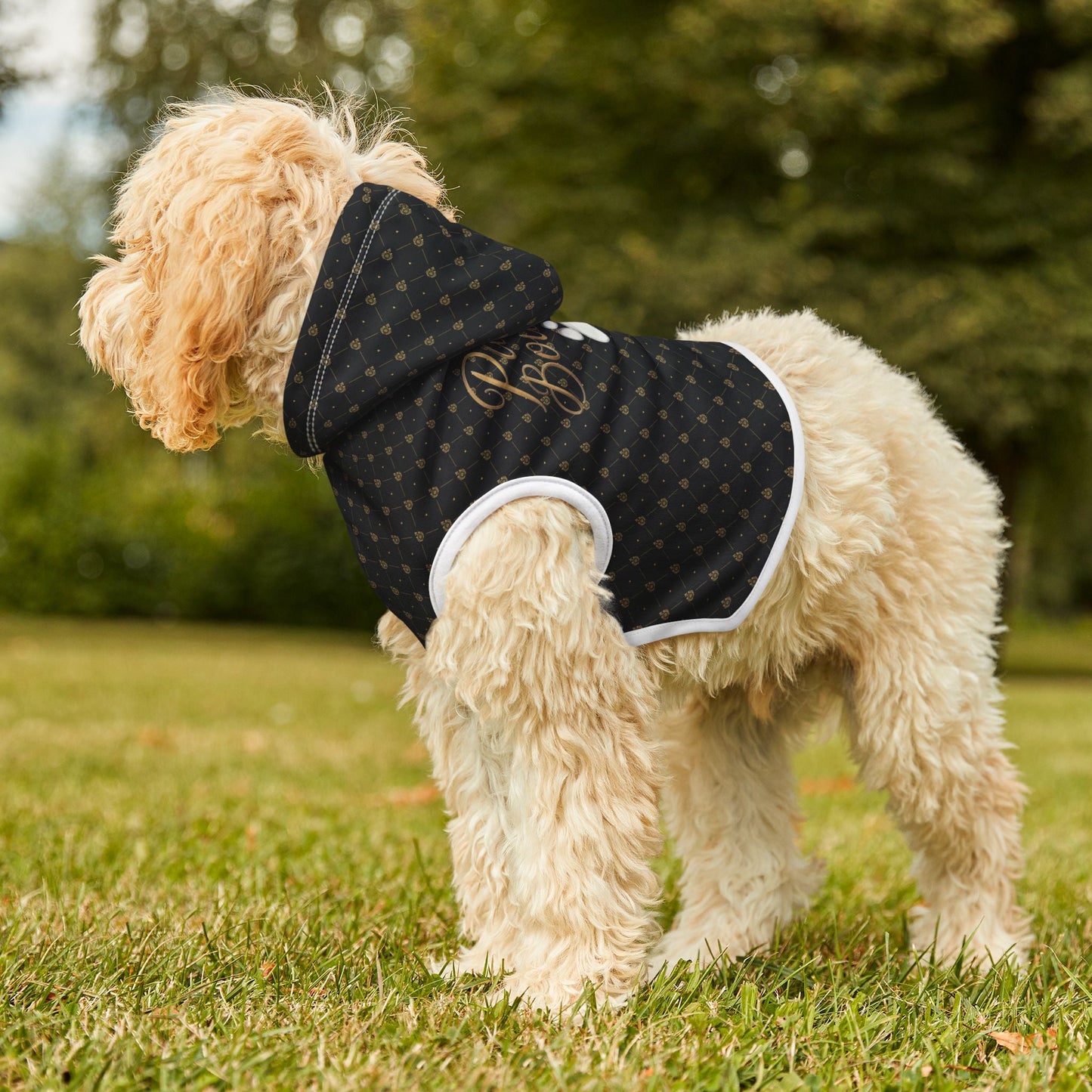 Stylish Pawsh Hoodie for Trendy Dogs Printify