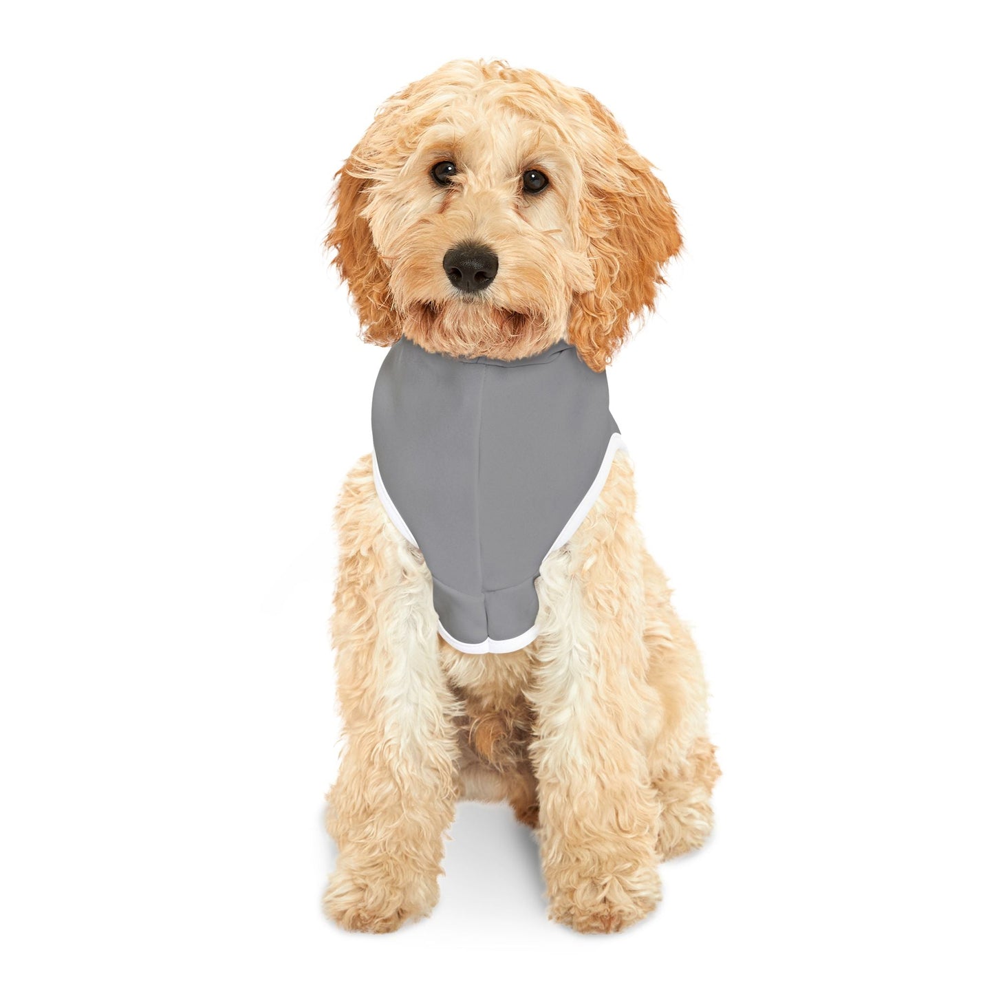 Raiders Pet Hoodie with Raiders Design, Perfect for Dog Lovers, Cozy Canine Apparel, Team Spirit Wear, Pet Fashion Statement Printify