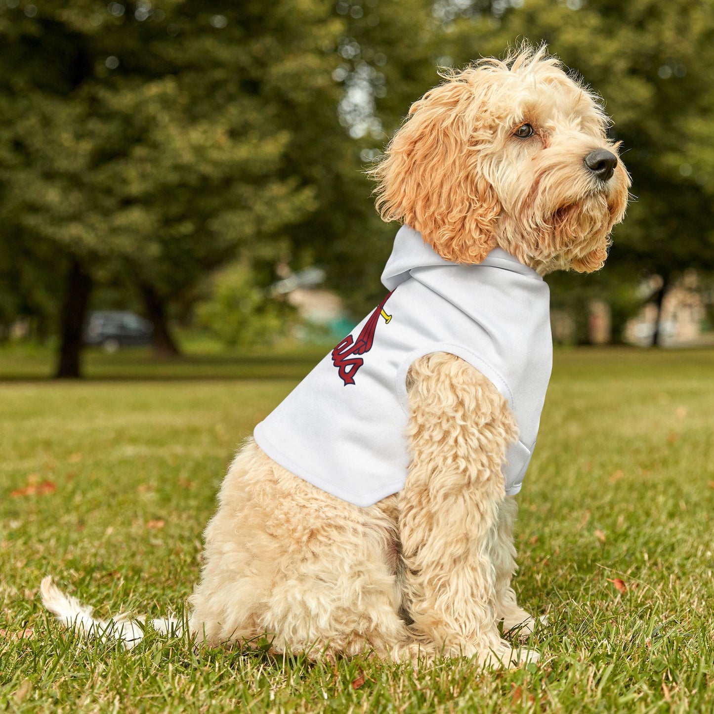 Cardinal Pet Hoodie, Cozy Dog Apparel, Furry Friend Fashion, Pet Lovers Gift, Sports Team Outfit, Cute Animal Clothing Printify