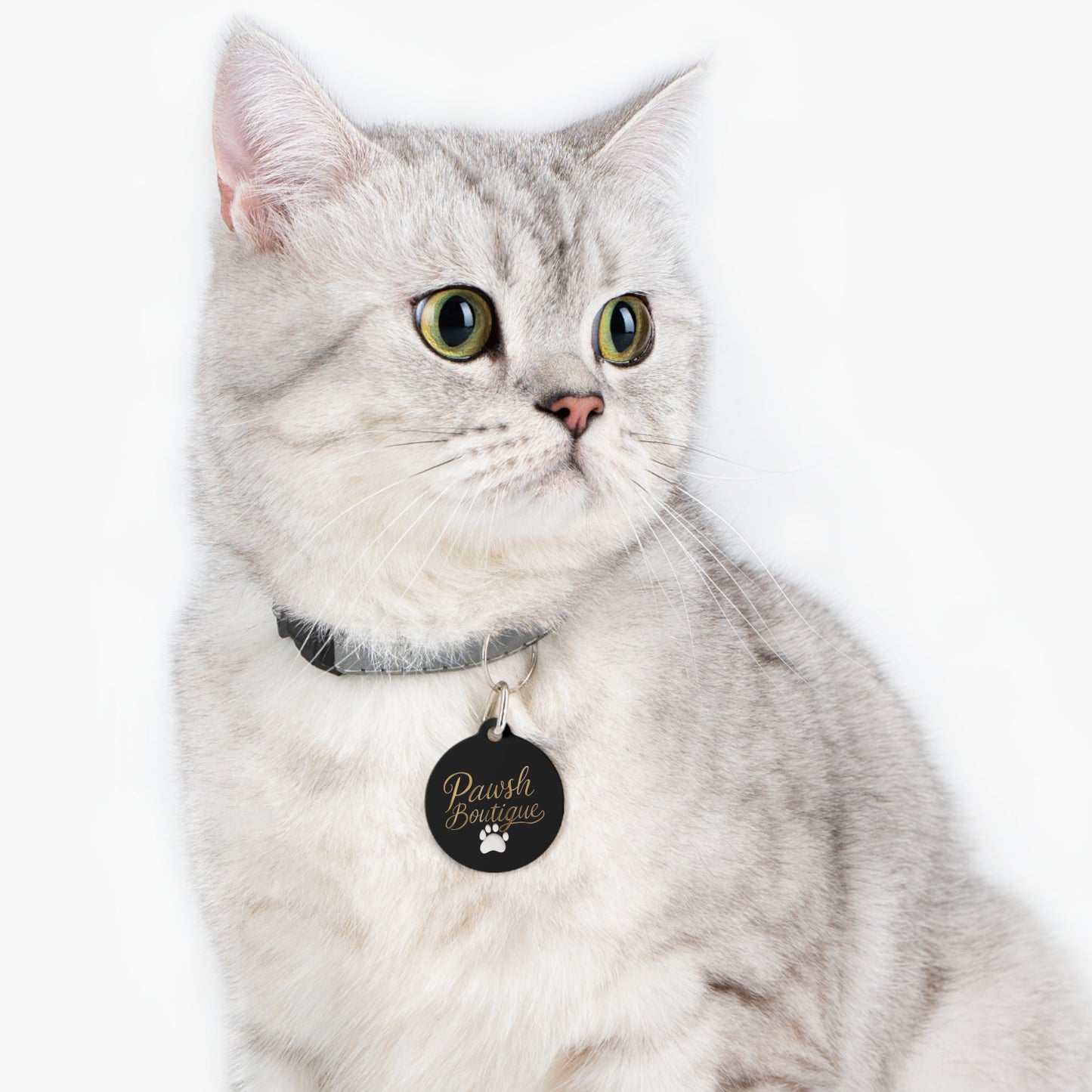 Pawsh Pet Tag Printify