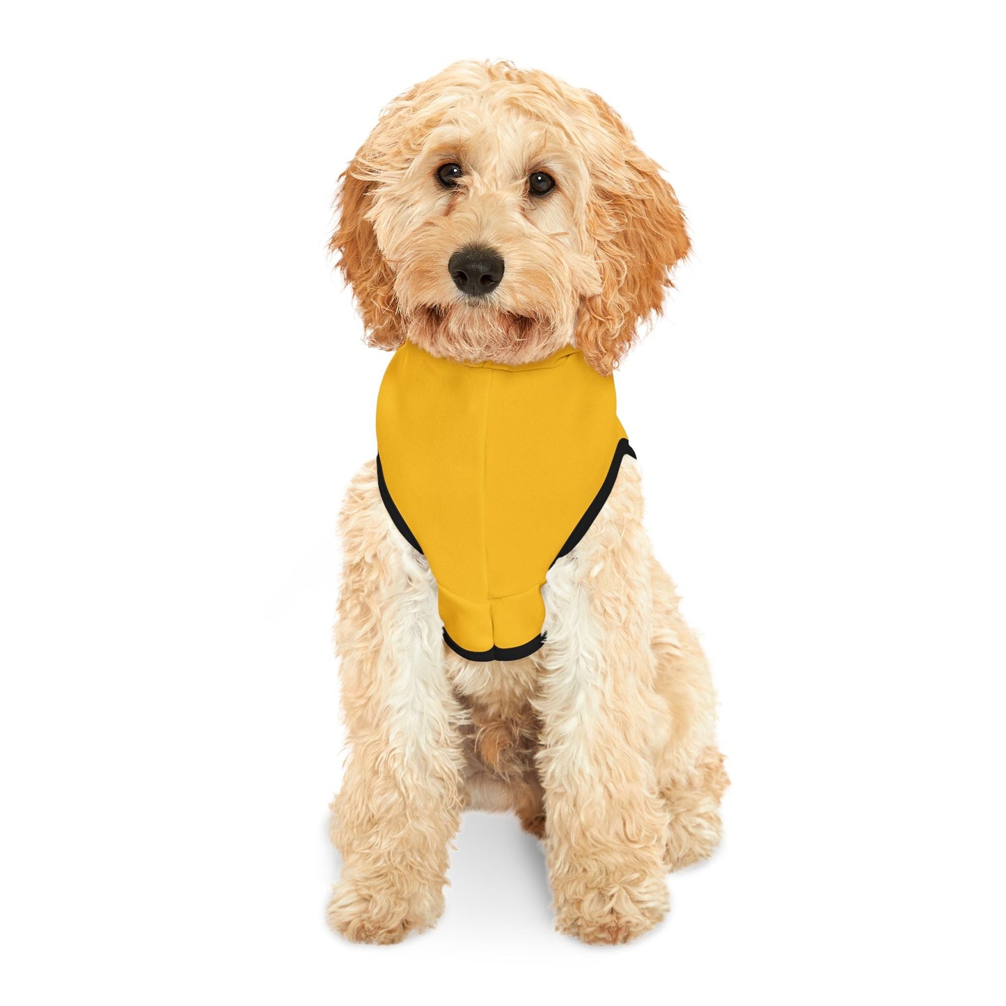 Stylish Blues Hoodie, Cozy Dog Sweater, Cute Puppy Outfit, Dog Apparel, Pet Fashion Printify