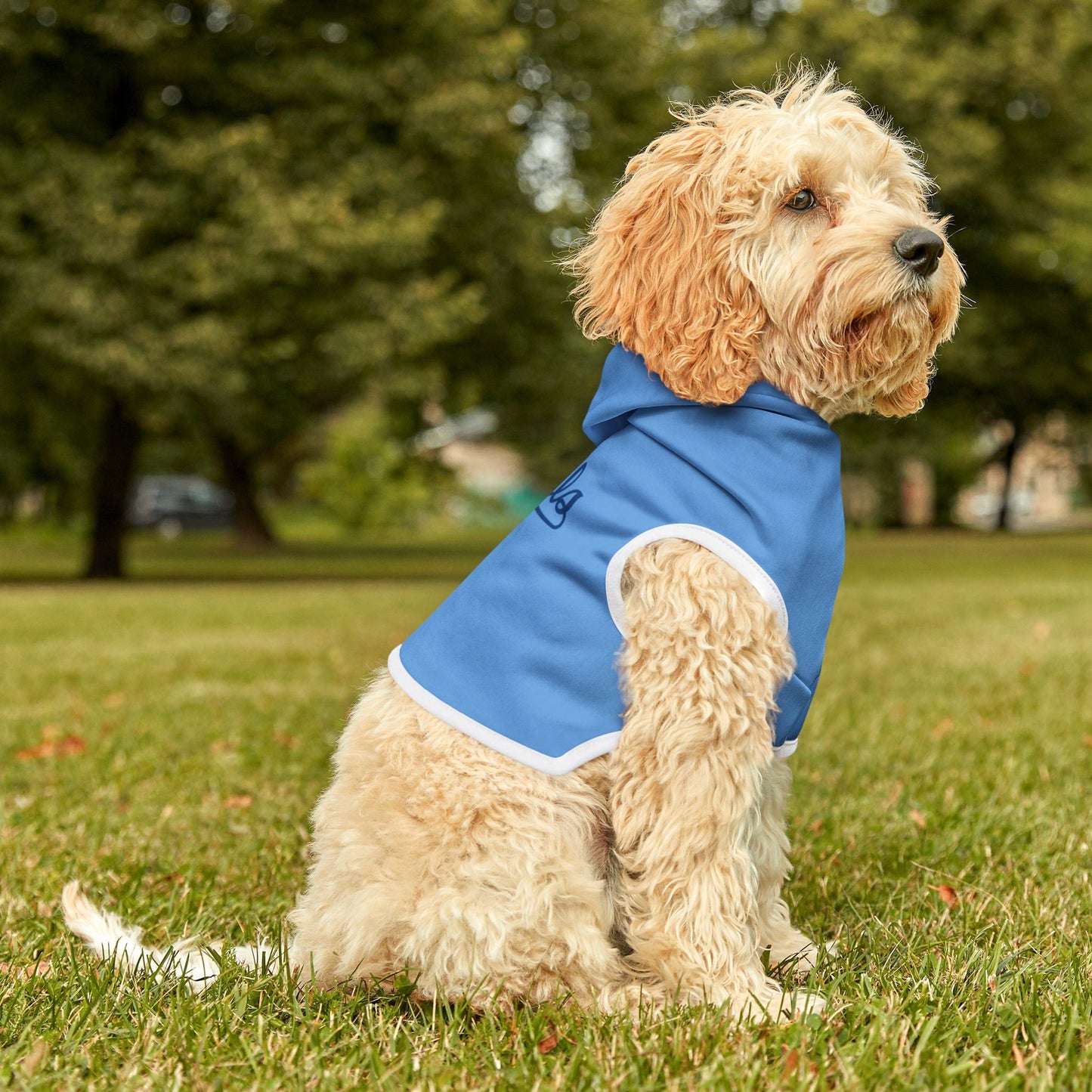 KC Royals Pet Hoodie - Cozy Dog Sweater, Perfect for Game Day, Pet Costume, Doggie Apparel, Sports Fan Gift Printify