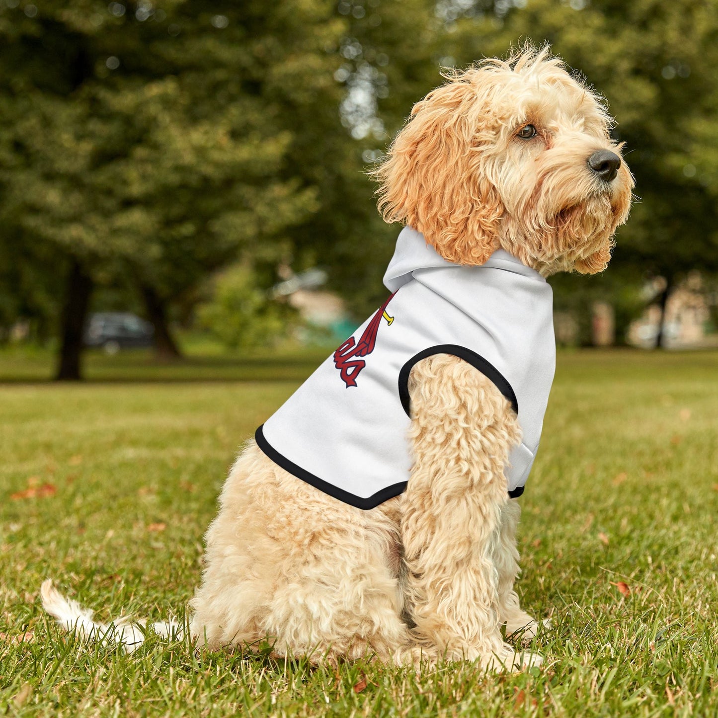 Cardinal Pet Hoodie, Cozy Dog Apparel, Furry Friend Fashion, Pet Lovers Gift, Sports Team Outfit, Cute Animal Clothing Printify