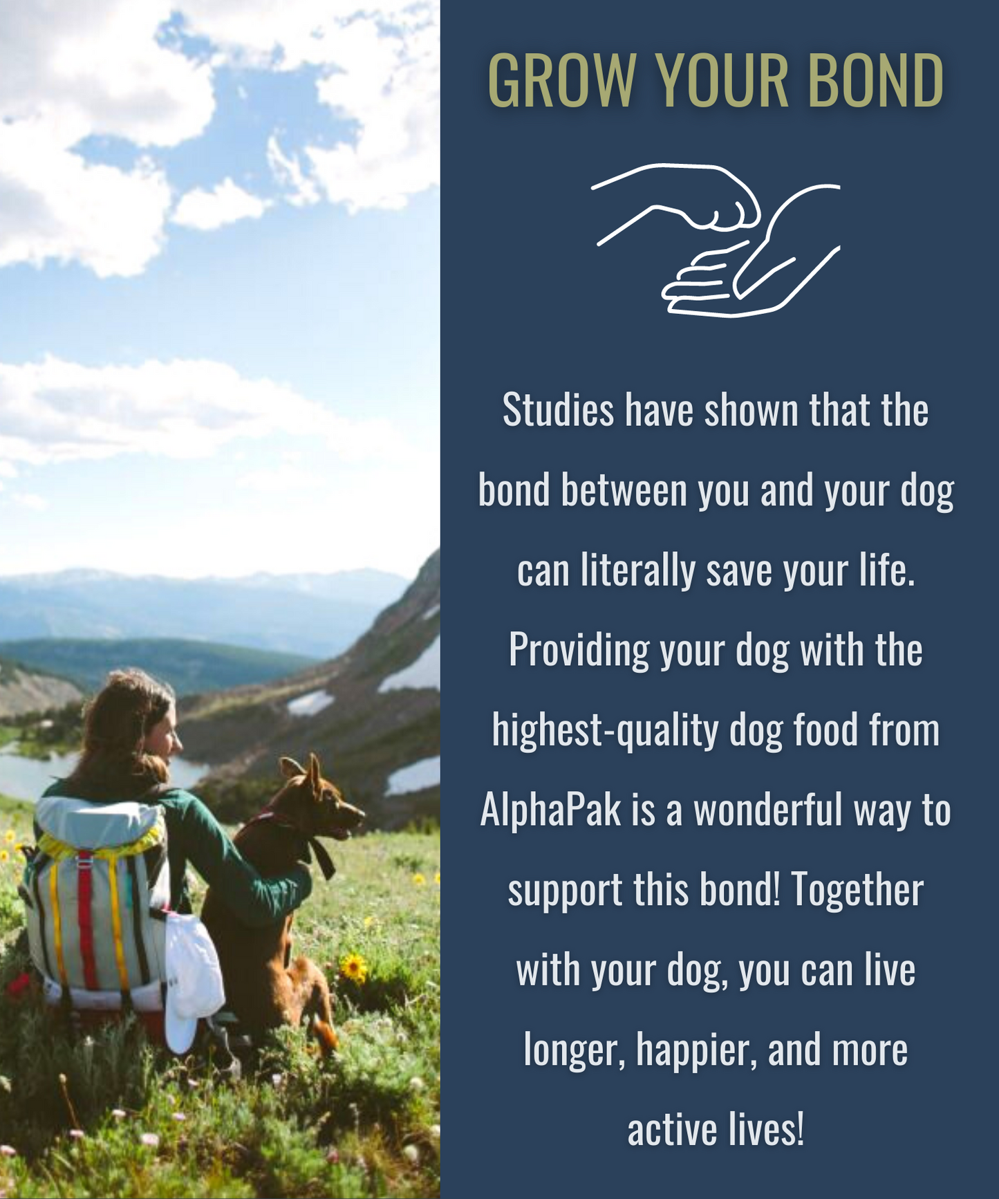 PREMIUM RAW FREEZE DRIED DOG FOOD Alpha Pak