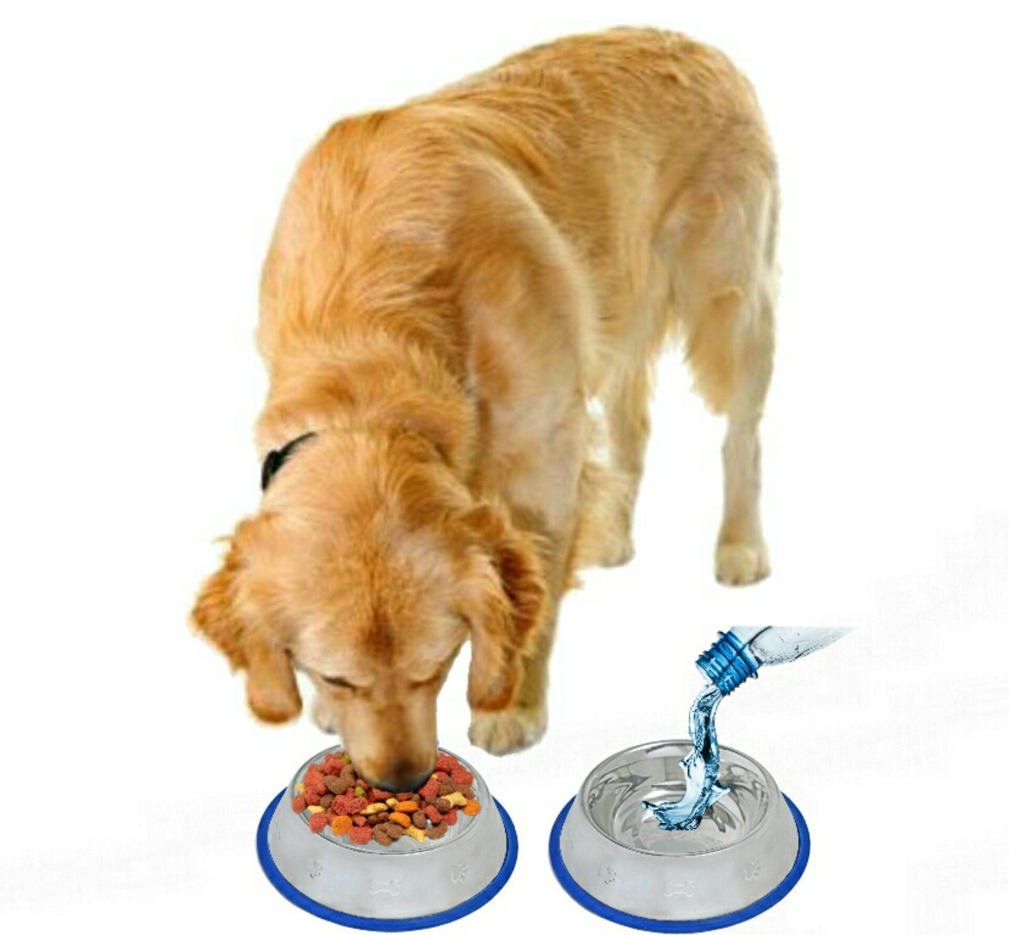 Set of 2 Etched Stainless Steel Dog Bowls with Blue Silicone Base Mr. Peanut's Pet Carriers