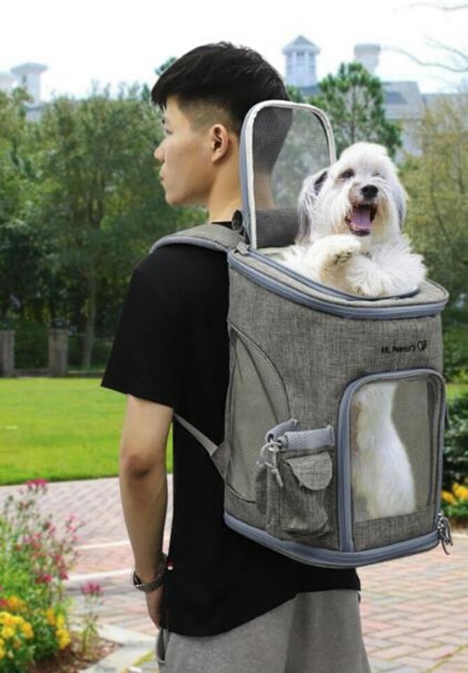 Mr. Peanut's Vancouver Series Backpack Pet Carrier for Smaller Cats and Dogs Mr. Peanut's Pet Carriers