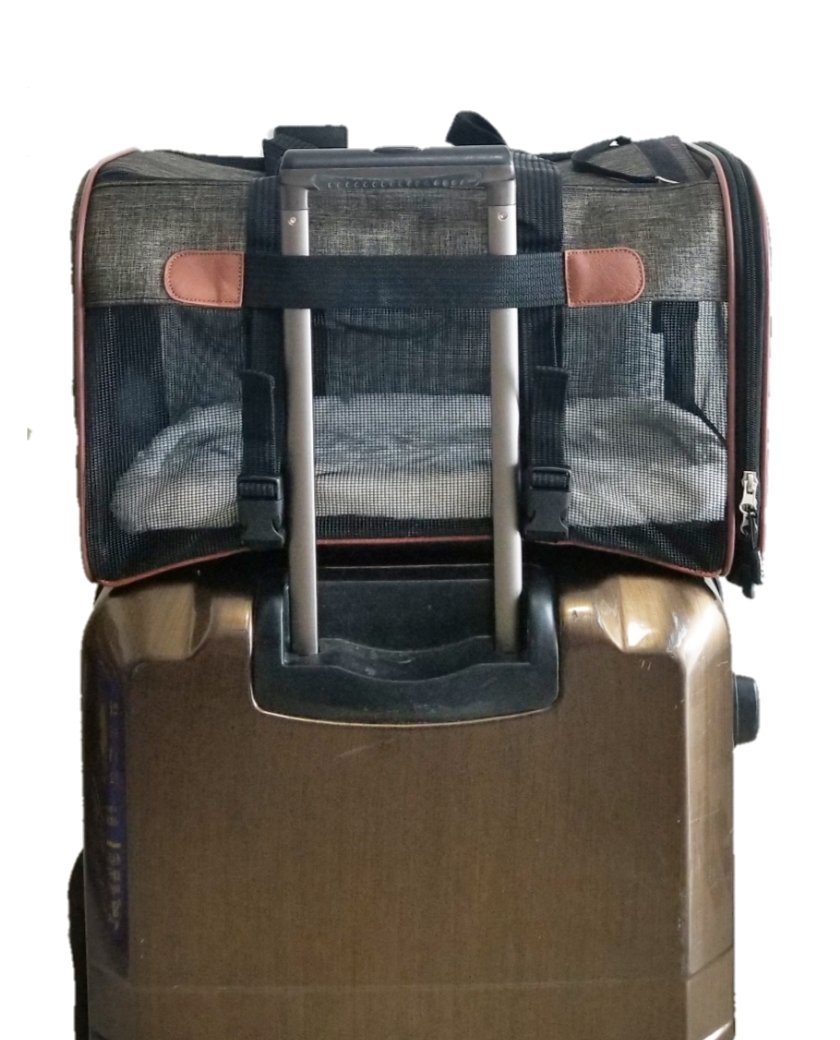 Mr. Peanut's Rhodium Series Mini Size Soft Sided Pet Carrier - Note Sizing in Description Mr. Peanut's Pet Carriers