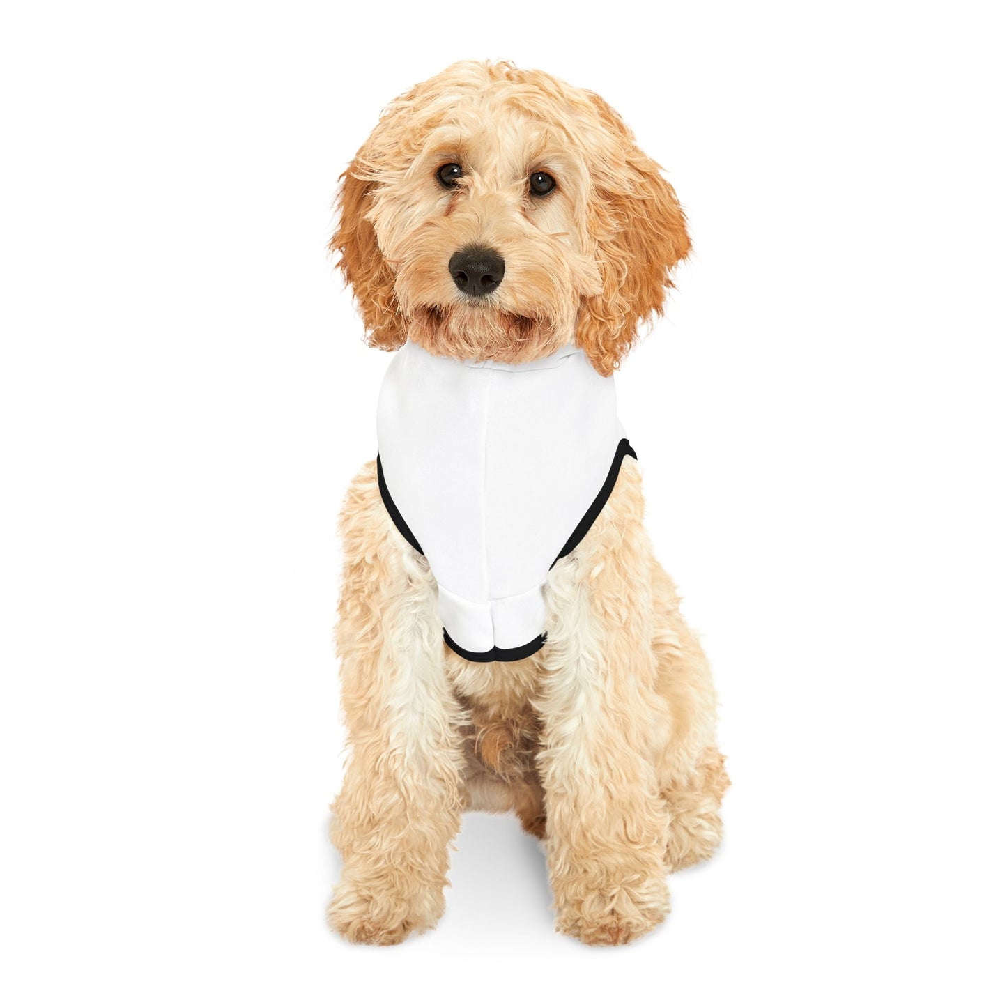 Cardinal Pet Hoodie, Cozy Dog Apparel, Furry Friend Fashion, Pet Lovers Gift, Sports Team Outfit, Cute Animal Clothing Printify
