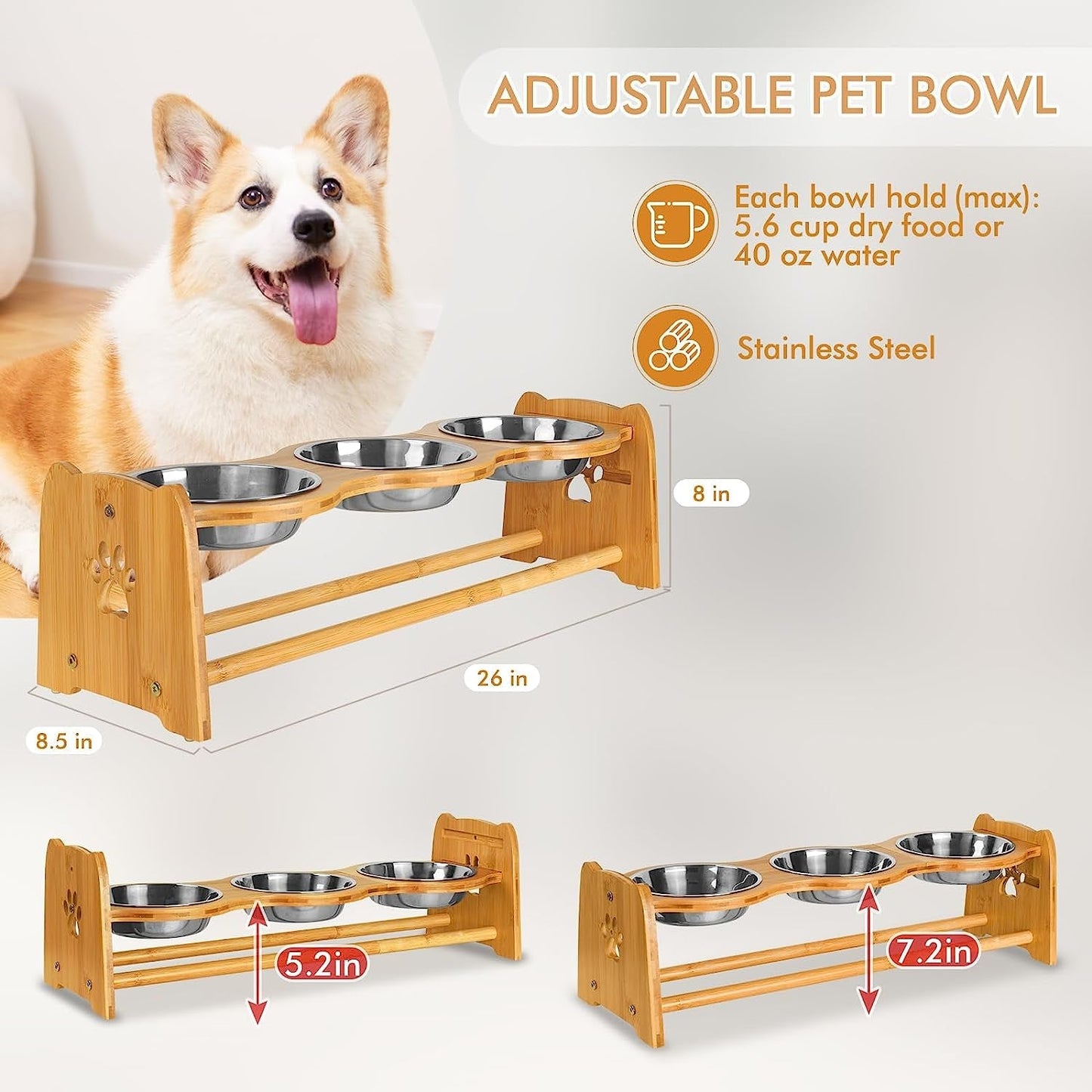 Elevated Dog Bowls for Cats and Dogs MJ's Pet Closet