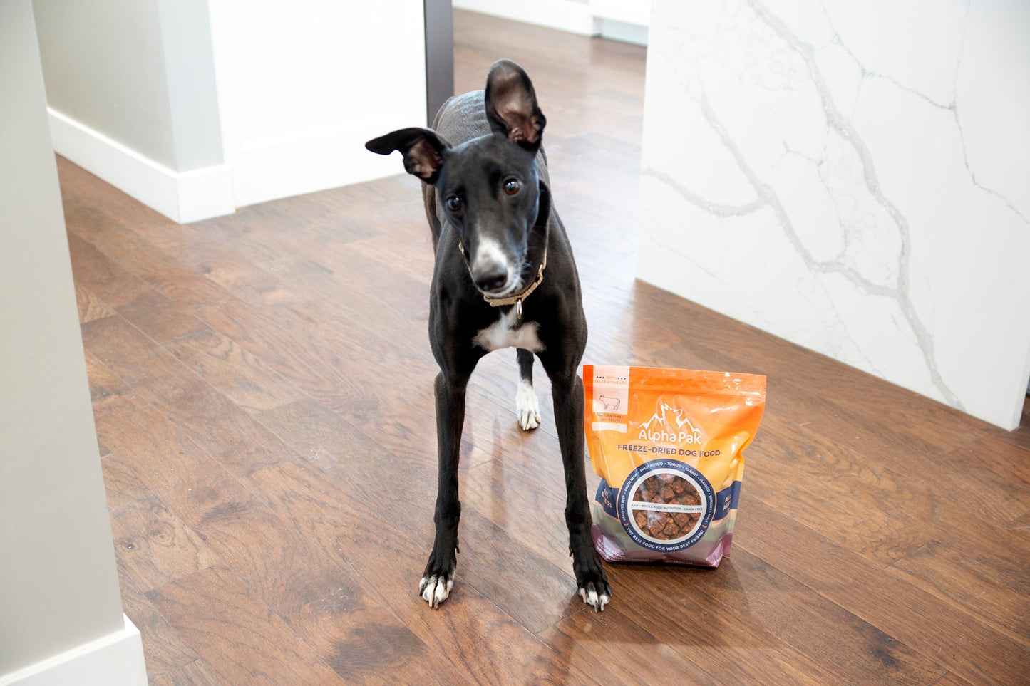PREMIUM RAW FREEZE DRIED DOG FOOD Alpha Pak
