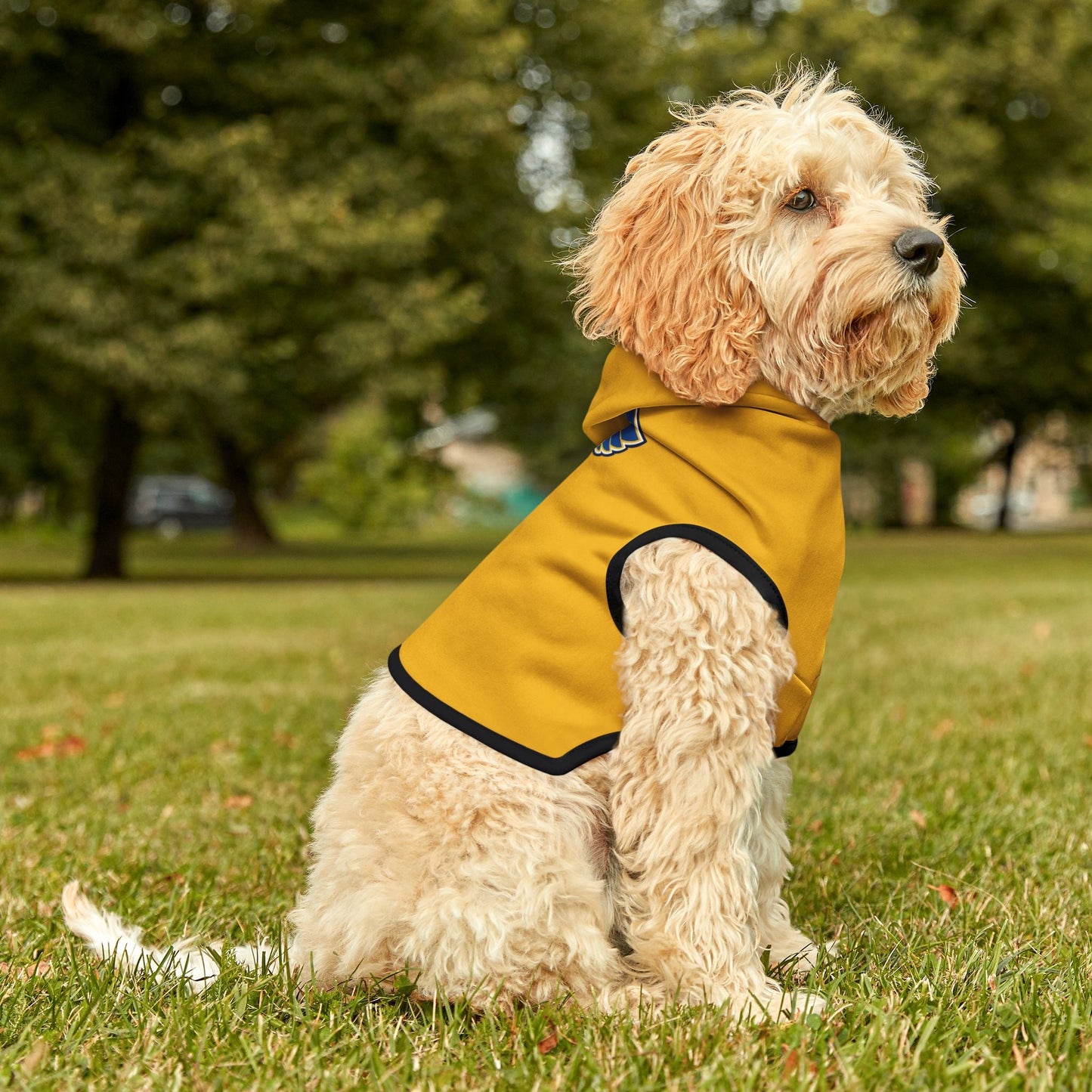 Stylish Blues Hoodie, Cozy Dog Sweater, Cute Puppy Outfit, Dog Apparel, Pet Fashion Printify