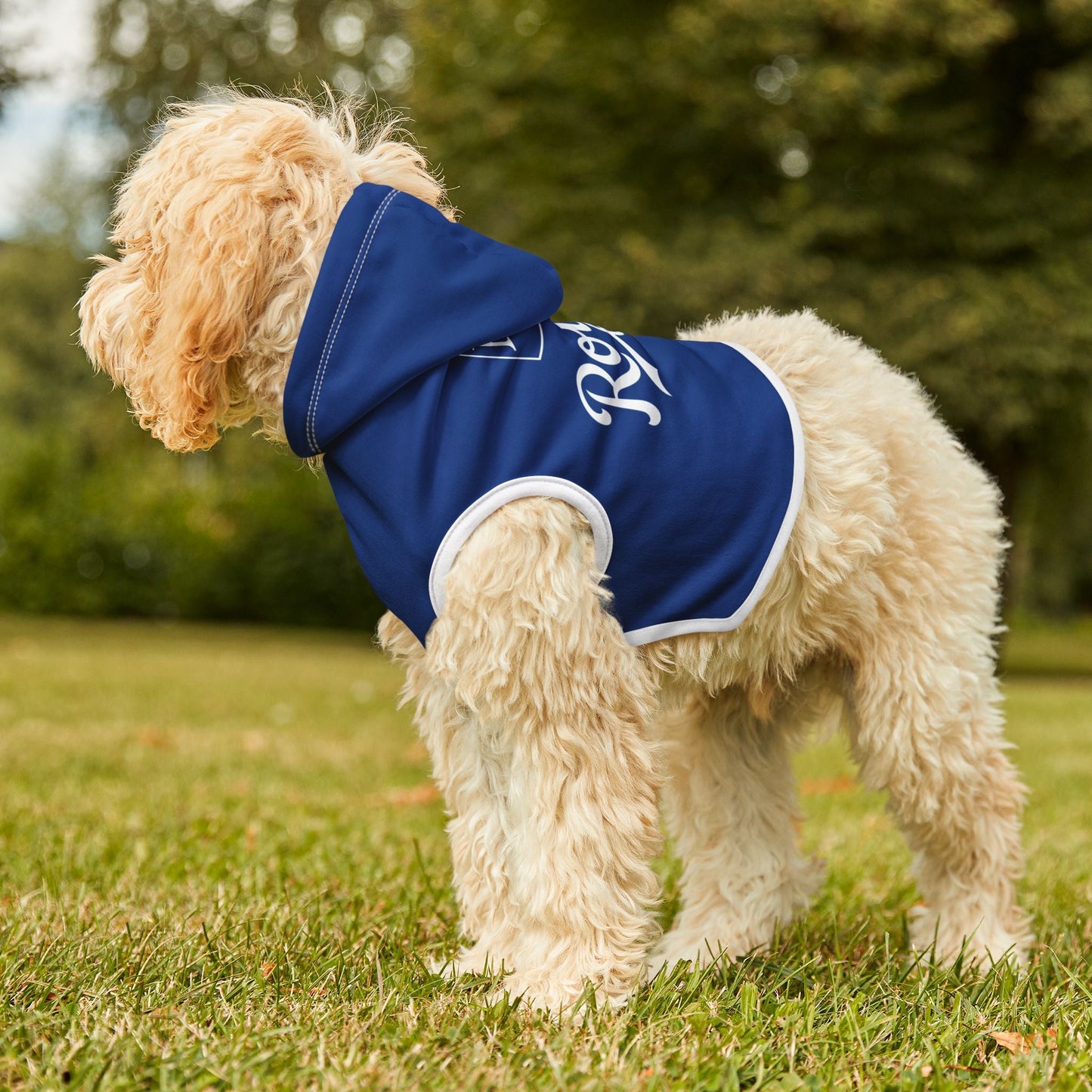 KC Royals Pet Hoodie for Game Day, Dog Apparel, Pet Fashion, Sportswear, Soft Hoodie for Dogs, Blue Pet Outfit Printify