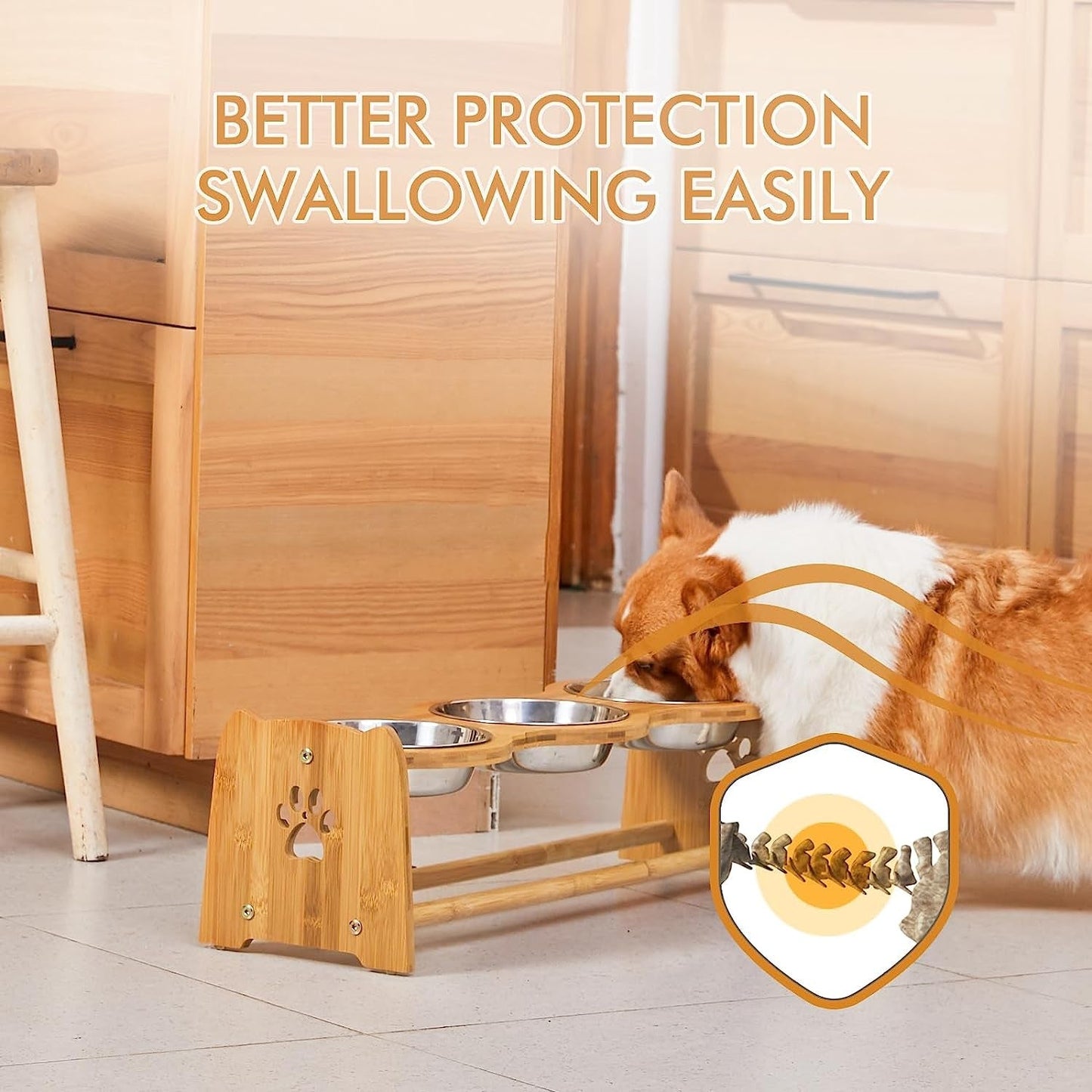 Elevated Dog Bowls for Cats and Dogs MJ's Pet Closet