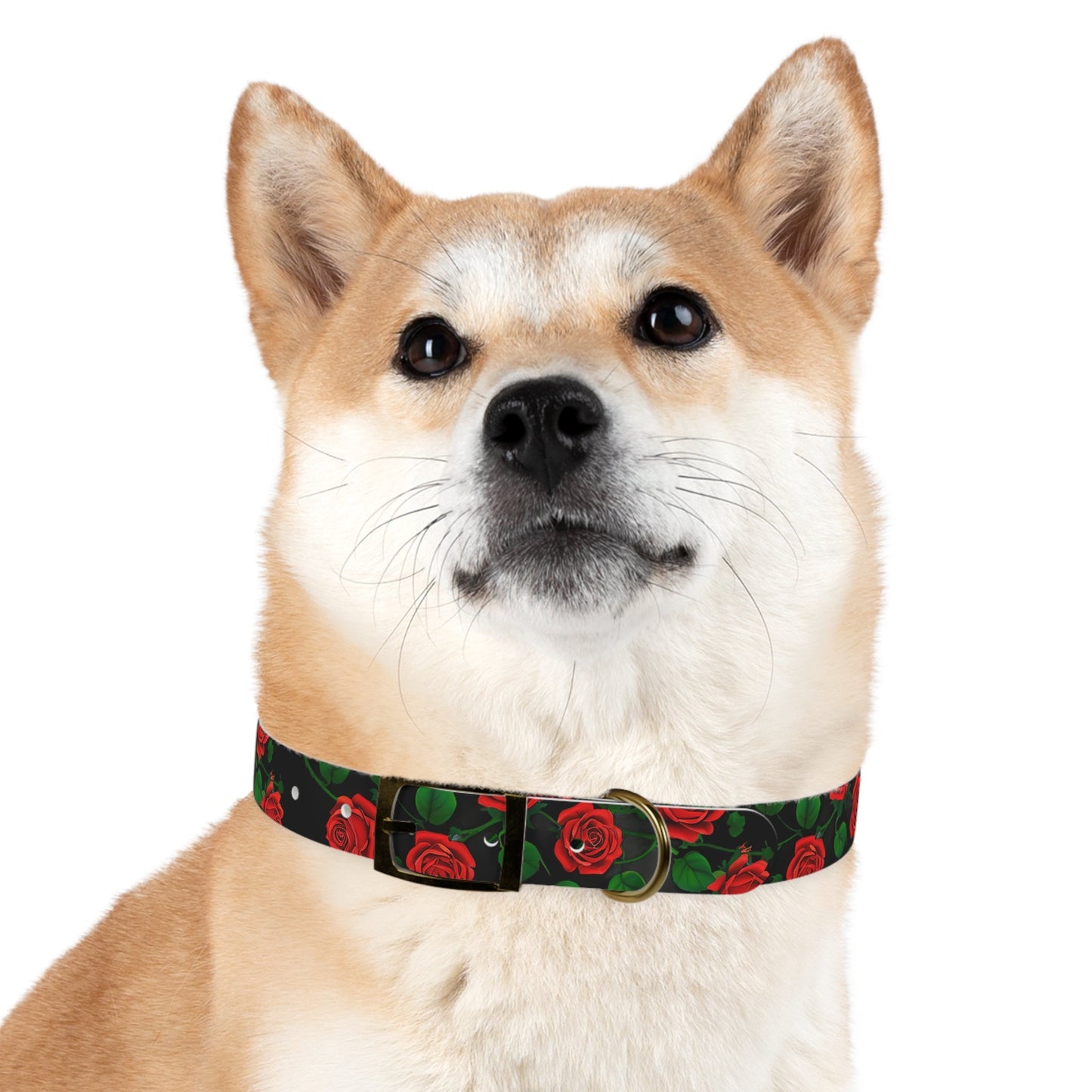 Romantic Floral Dog Collar Printify