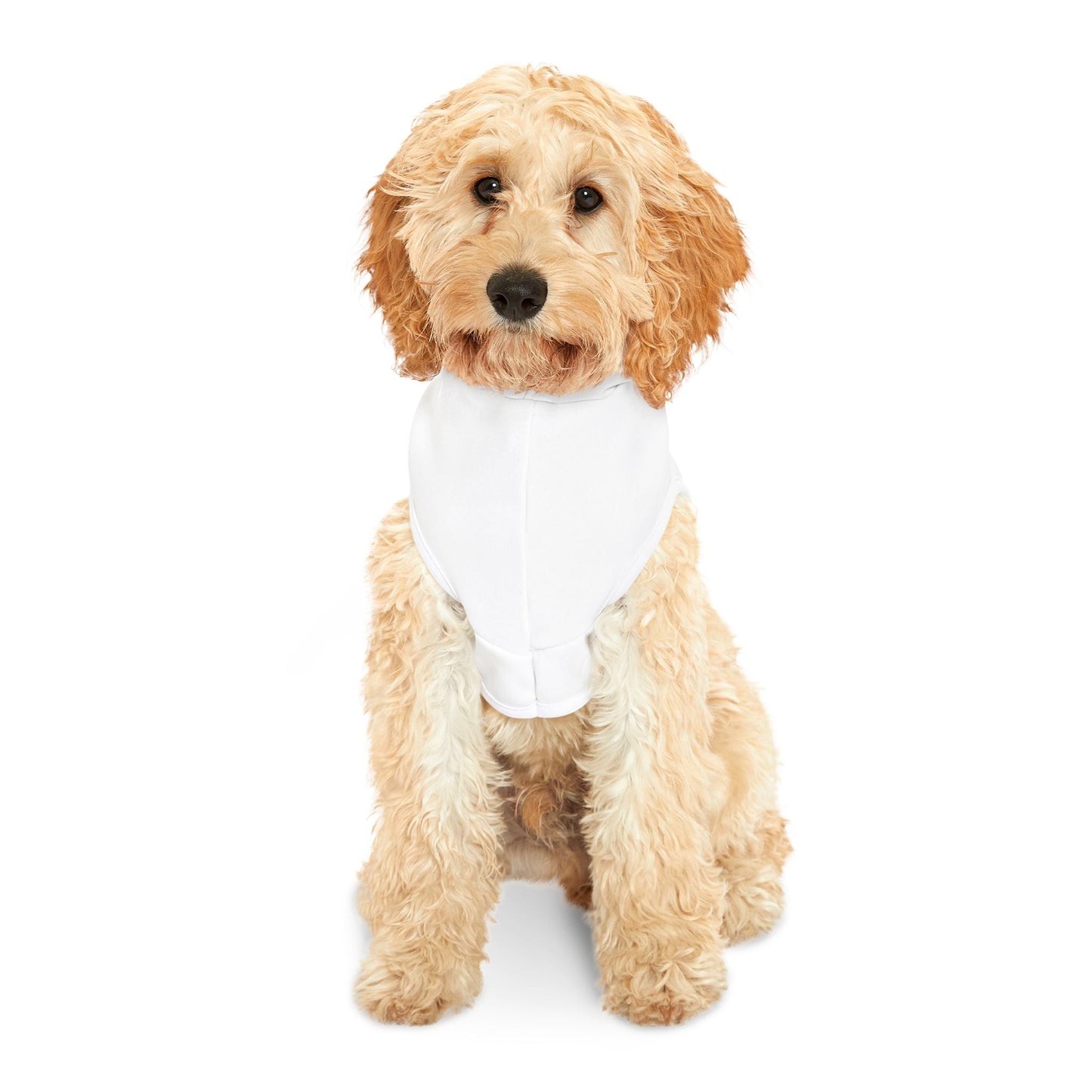 Cardinal Pet Hoodie, Cozy Dog Apparel, Furry Friend Fashion, Pet Lovers Gift, Sports Team Outfit, Cute Animal Clothing Printify