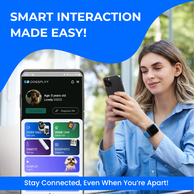 DOGSPLAY - SMART TV FOR DOGS Dogie TV