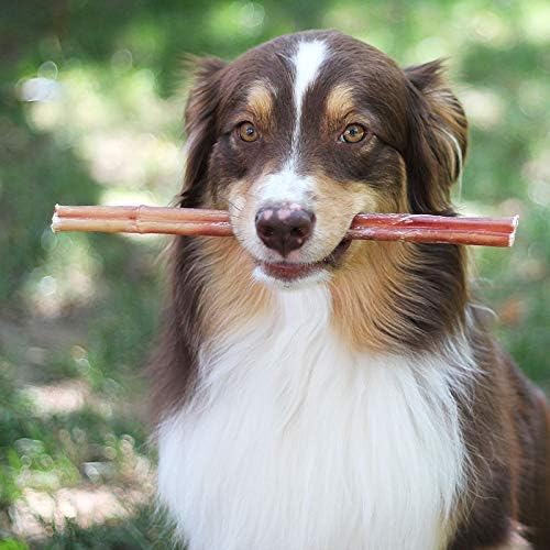 Brazilian Grass-Fed Beef Bully Sticks WooF WooF MeoW MeoW
