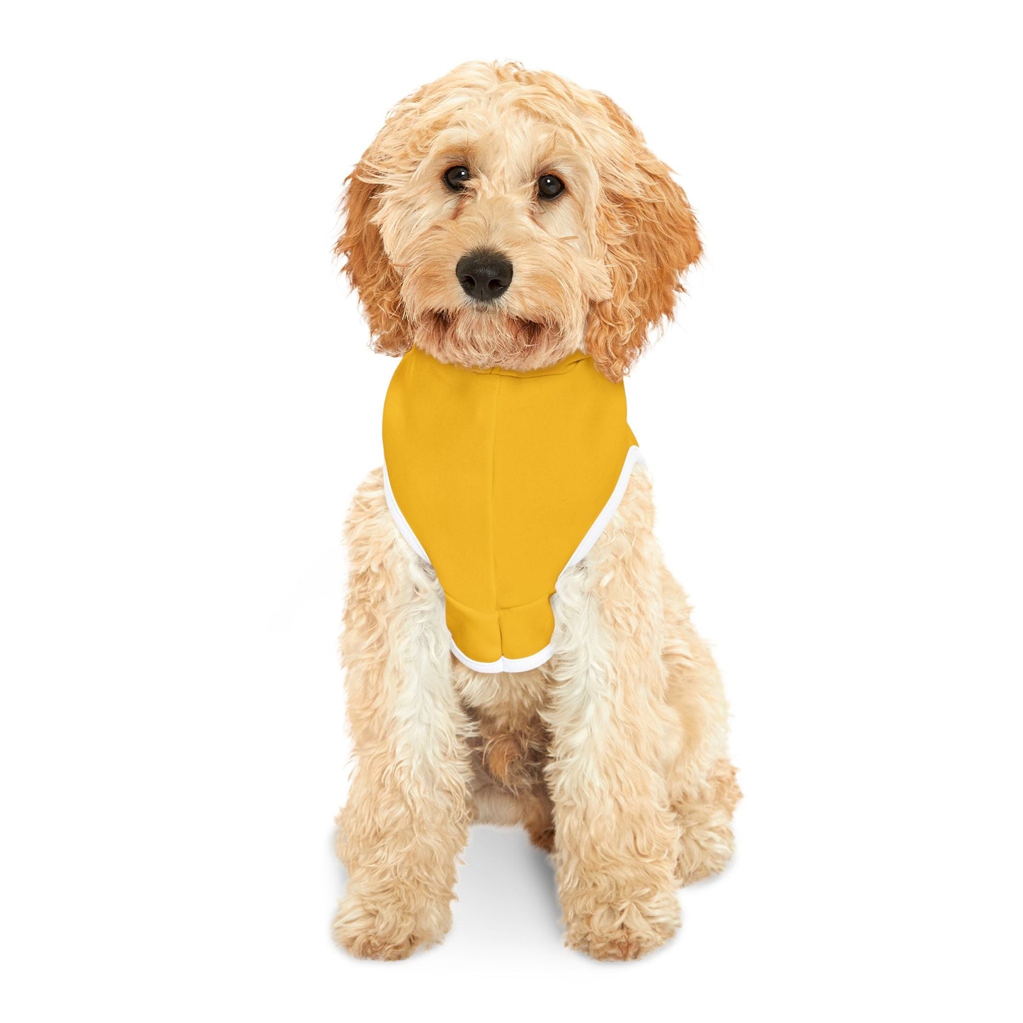Stylish Blues Hoodie, Cozy Dog Sweater, Cute Puppy Outfit, Dog Apparel, Pet Fashion Printify