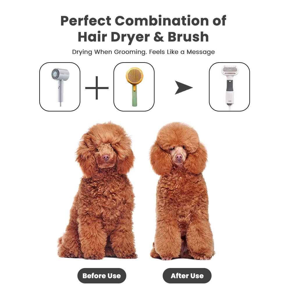 Pet Grooming Dryer for Small Dog and Cat MJ's Pet Closet