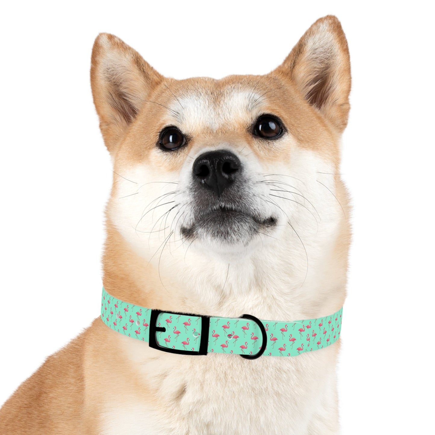 Flamingo Pattern Dog Collar, Stylish Pet Accessory, Summer Dog Gear, Perfect Gift for Dog Lovers, Adjustable Pet Collar, Tropical Dog Printify