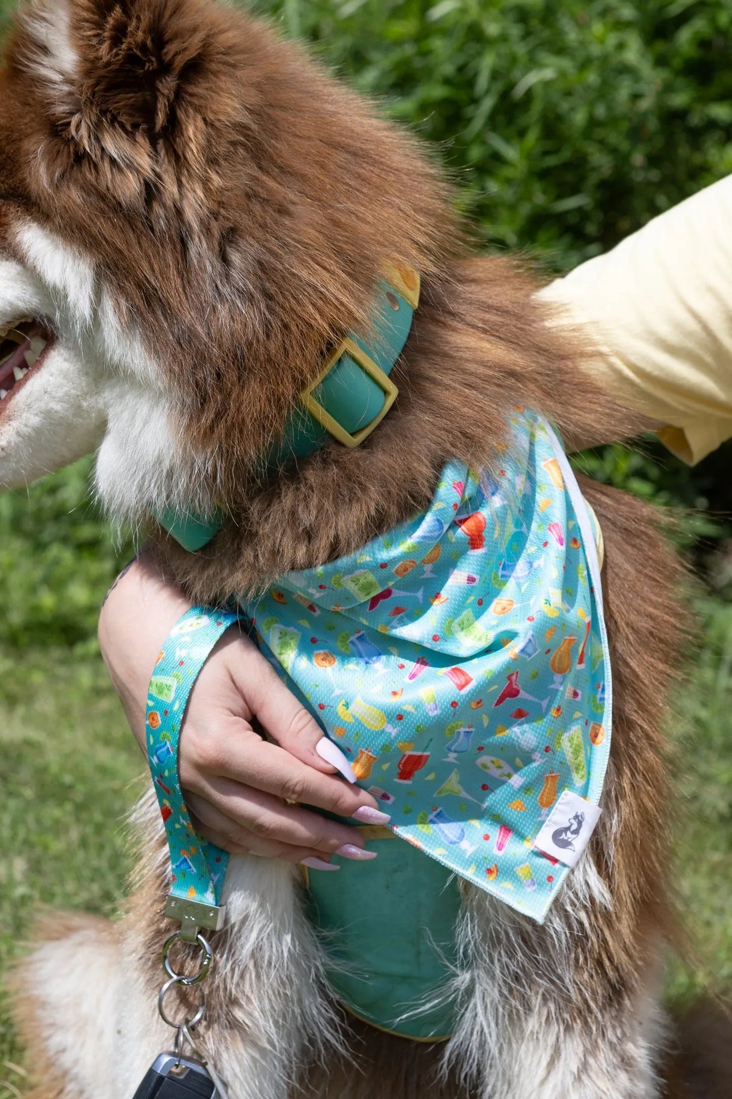 Seaside Sips Dog Bandana & Matching Keychain Aria the Fox
