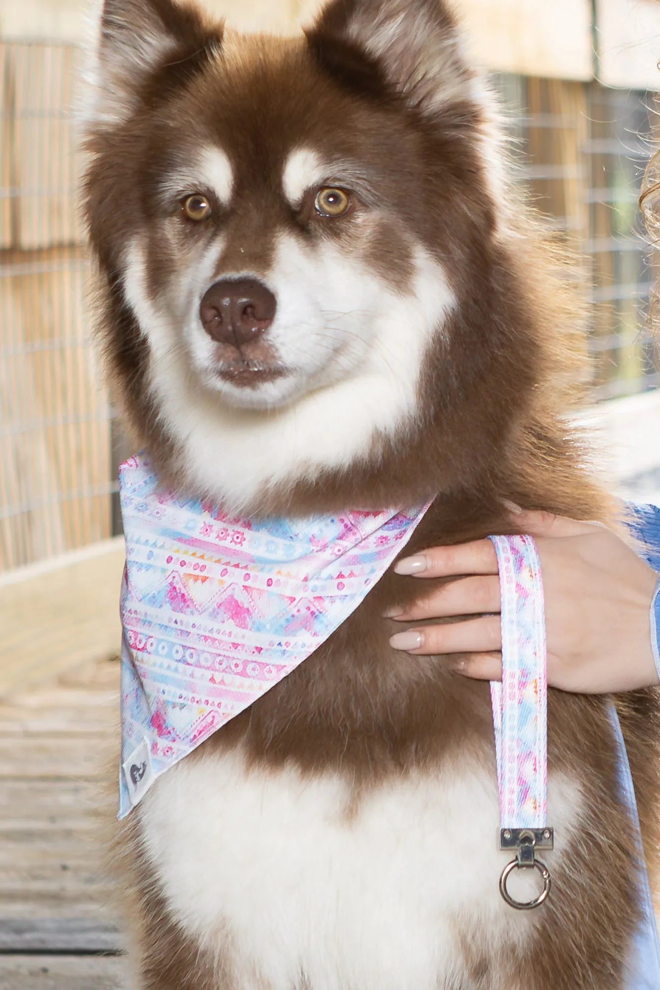 Pink and Blue Tribal Dog Bandana & Matching Keychain Aria the Fox
