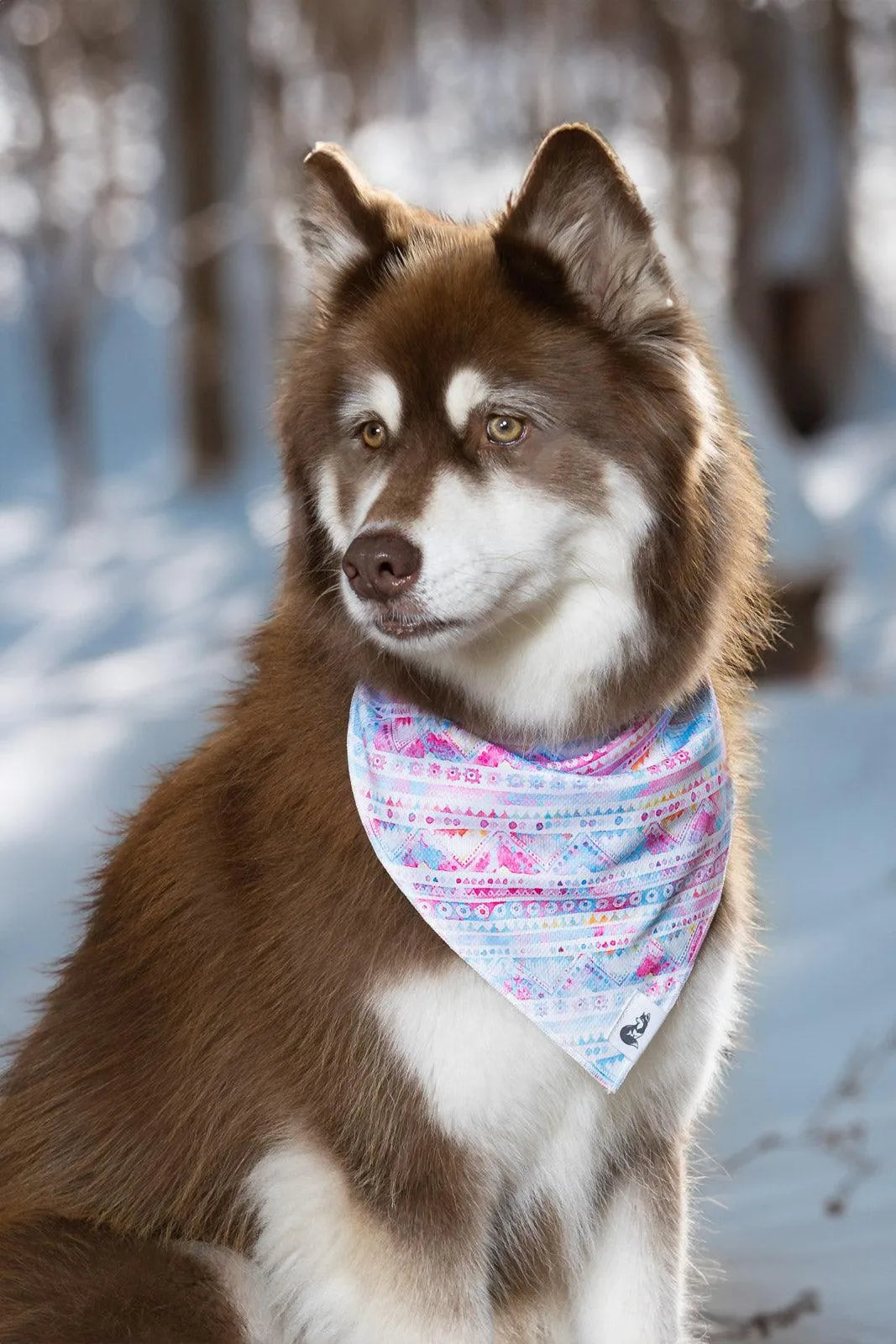 Pink and Blue Tribal Dog Bandana & Matching Keychain Aria the Fox