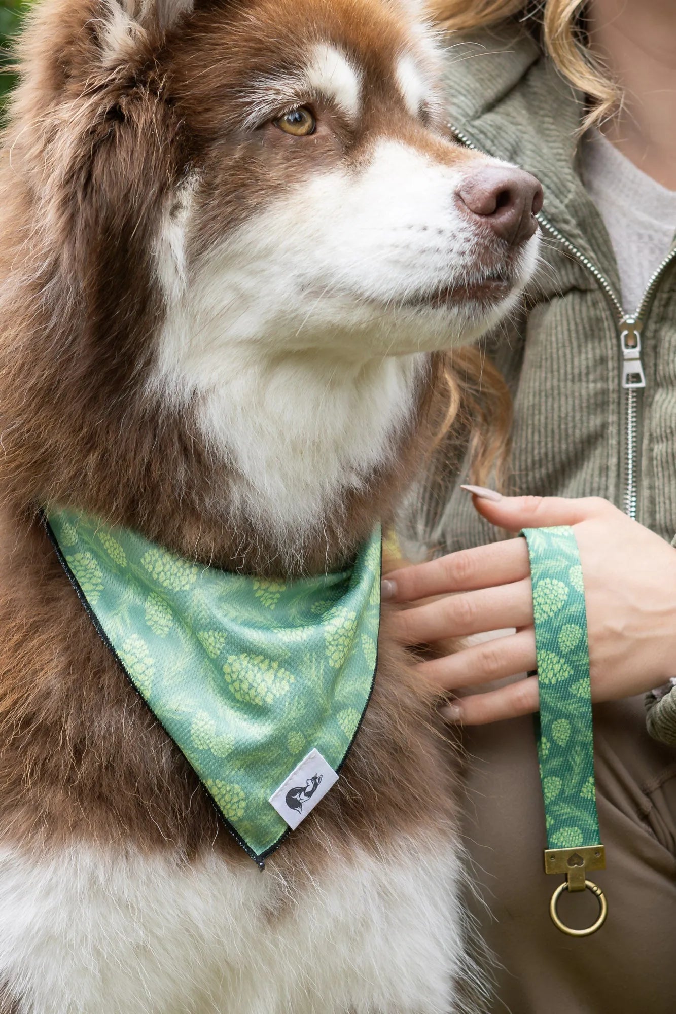 Pine Cone Pup Bandana & Matching Keychain Aria the Fox