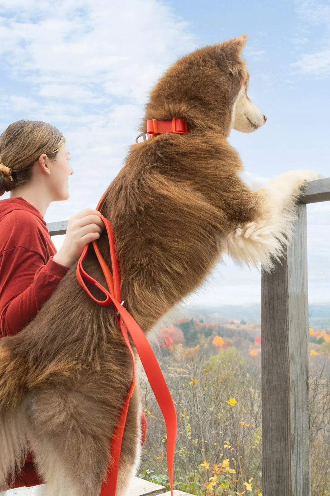 Scarlet Peaks Waterproof Leash Aria the Fox
