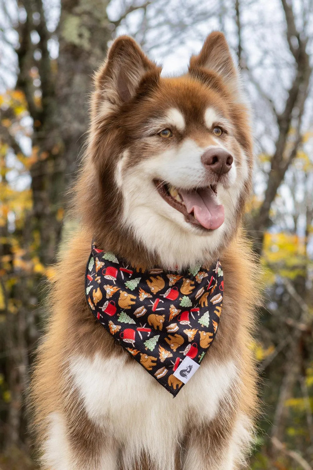Woodland Tales Dog Bandana Aria the Fox
