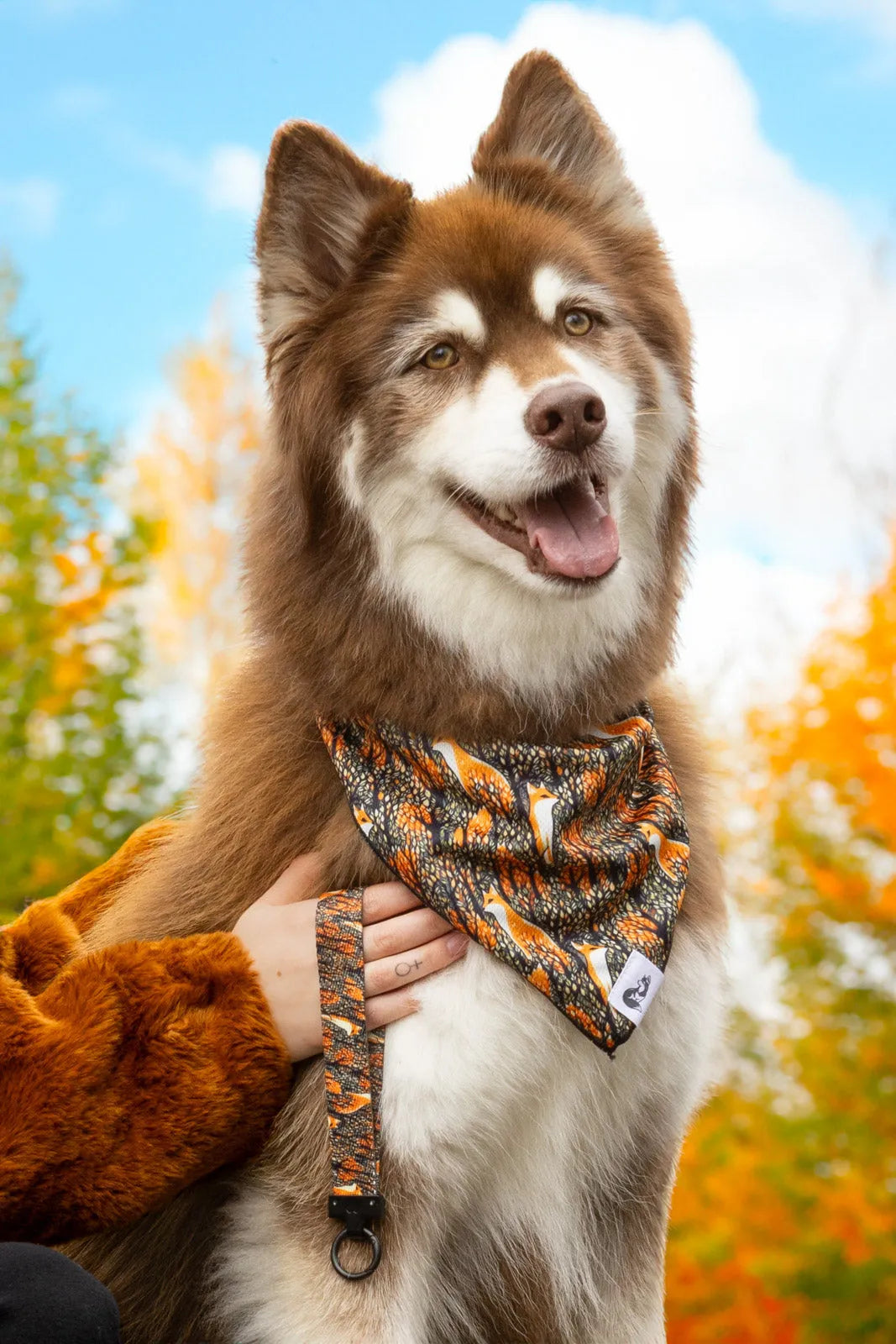 Foxes in Fall Dog Bandana & Matching Keychain Aria the Fox