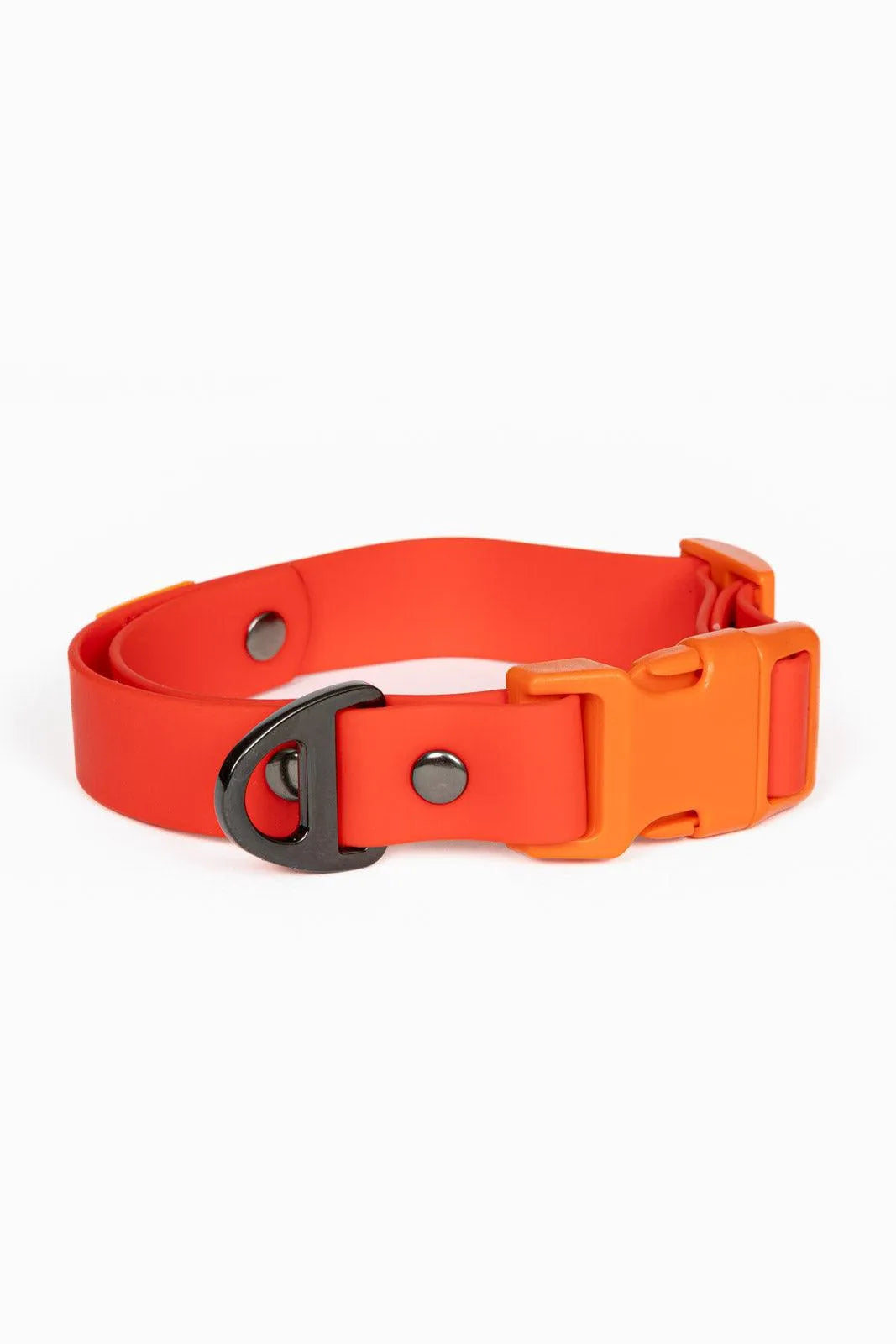 Scarlet Peaks Waterproof Dog Collar Aria the Fox