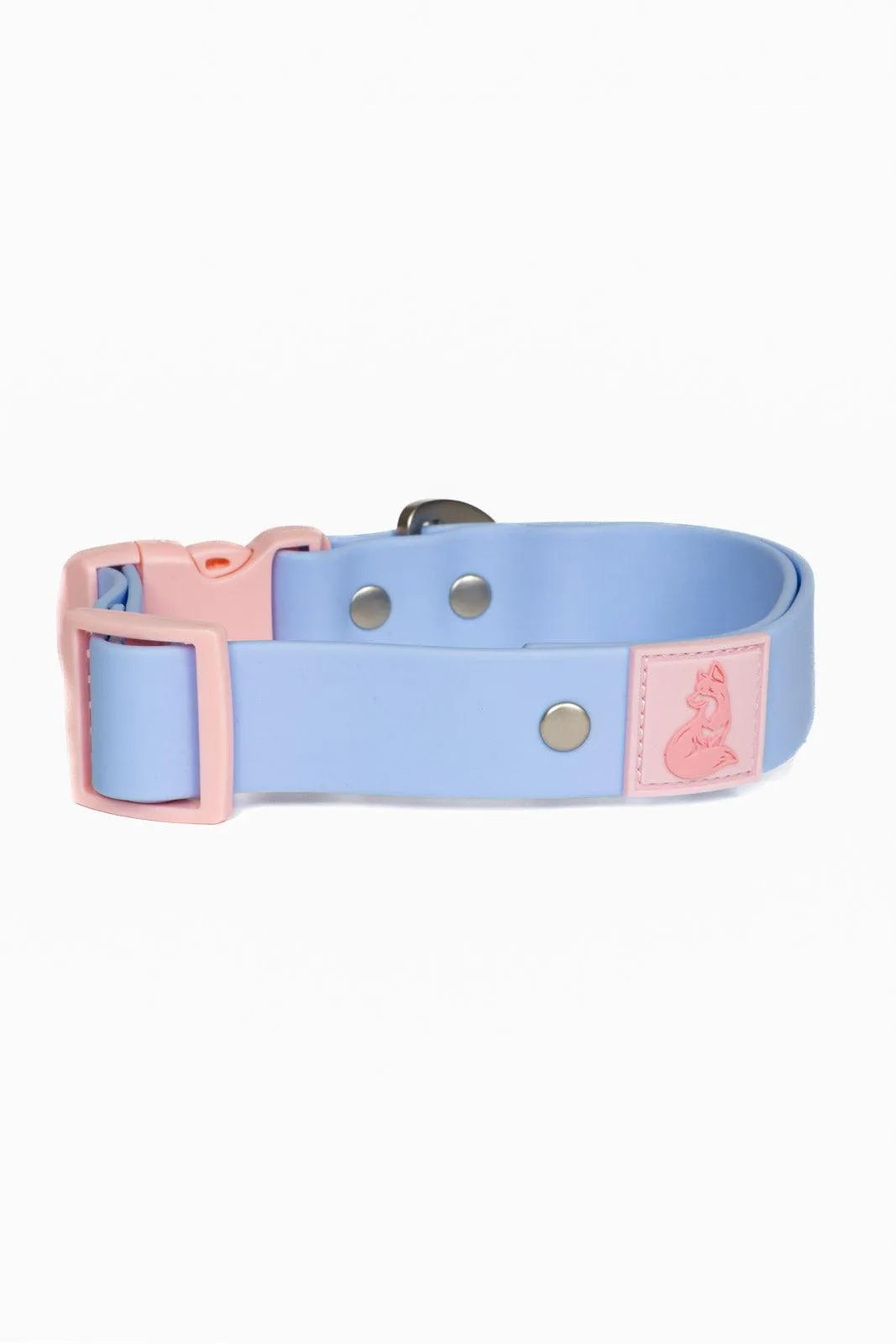 Blue Sky Orchid Waterproof Dog Collar Aria the Fox